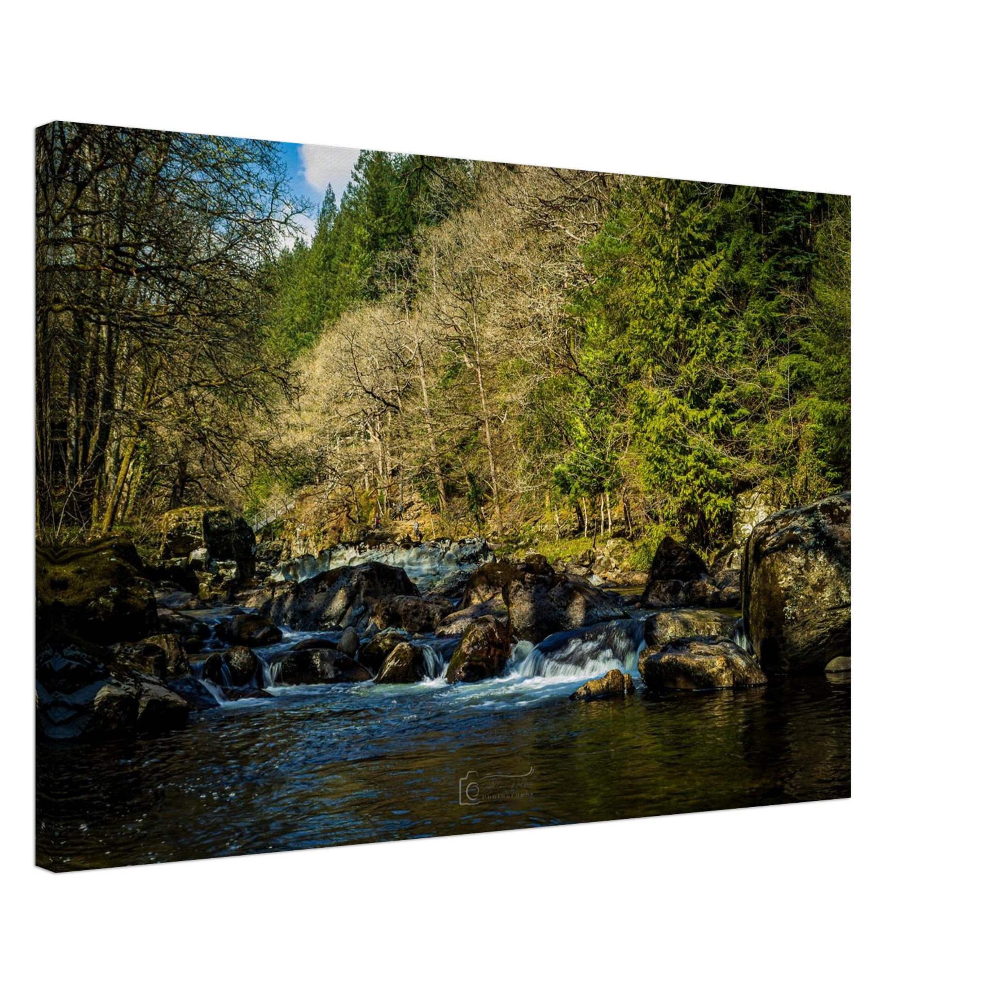 Miners Bridge Streams Canvas Print