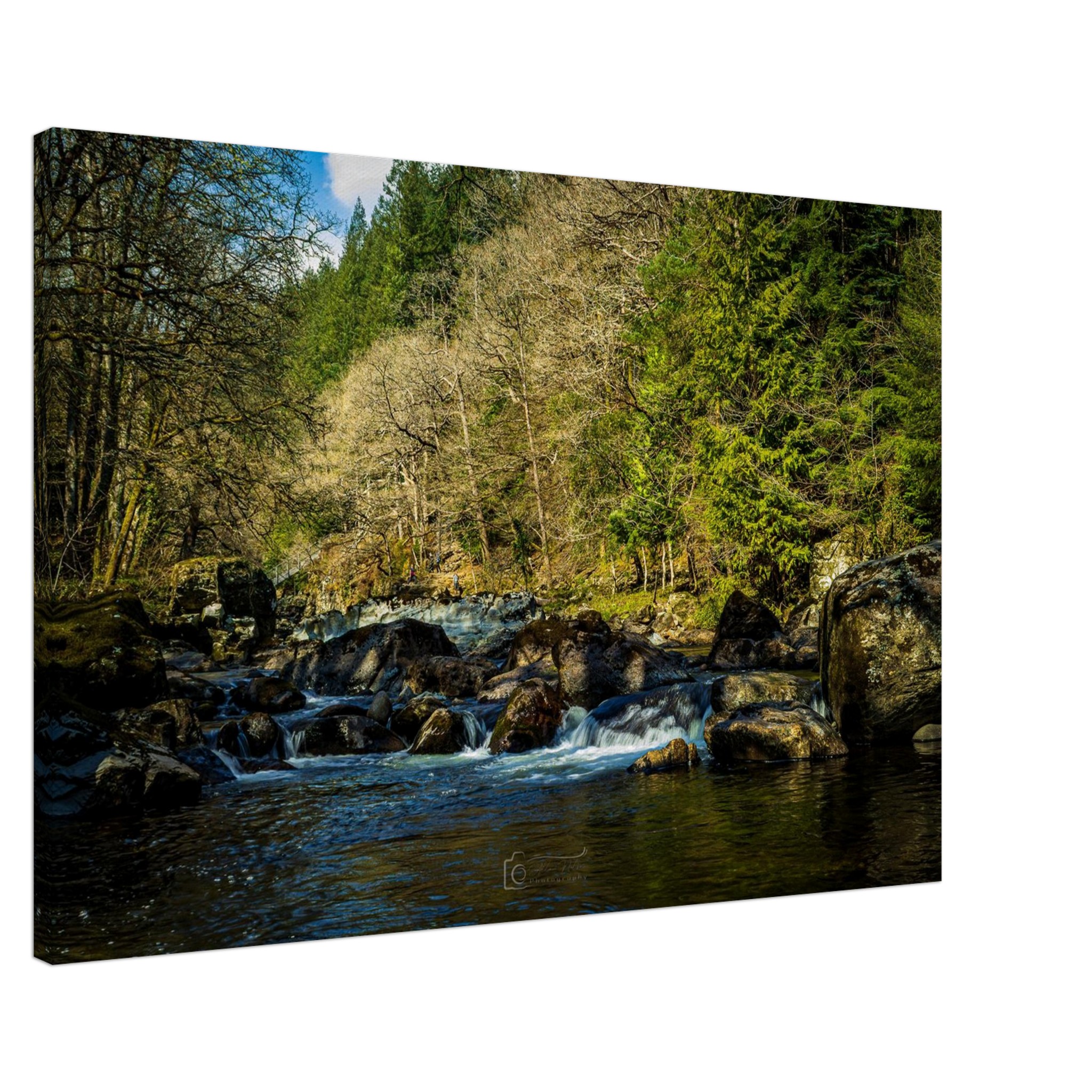 Miners Bridge Streams Canvas Print