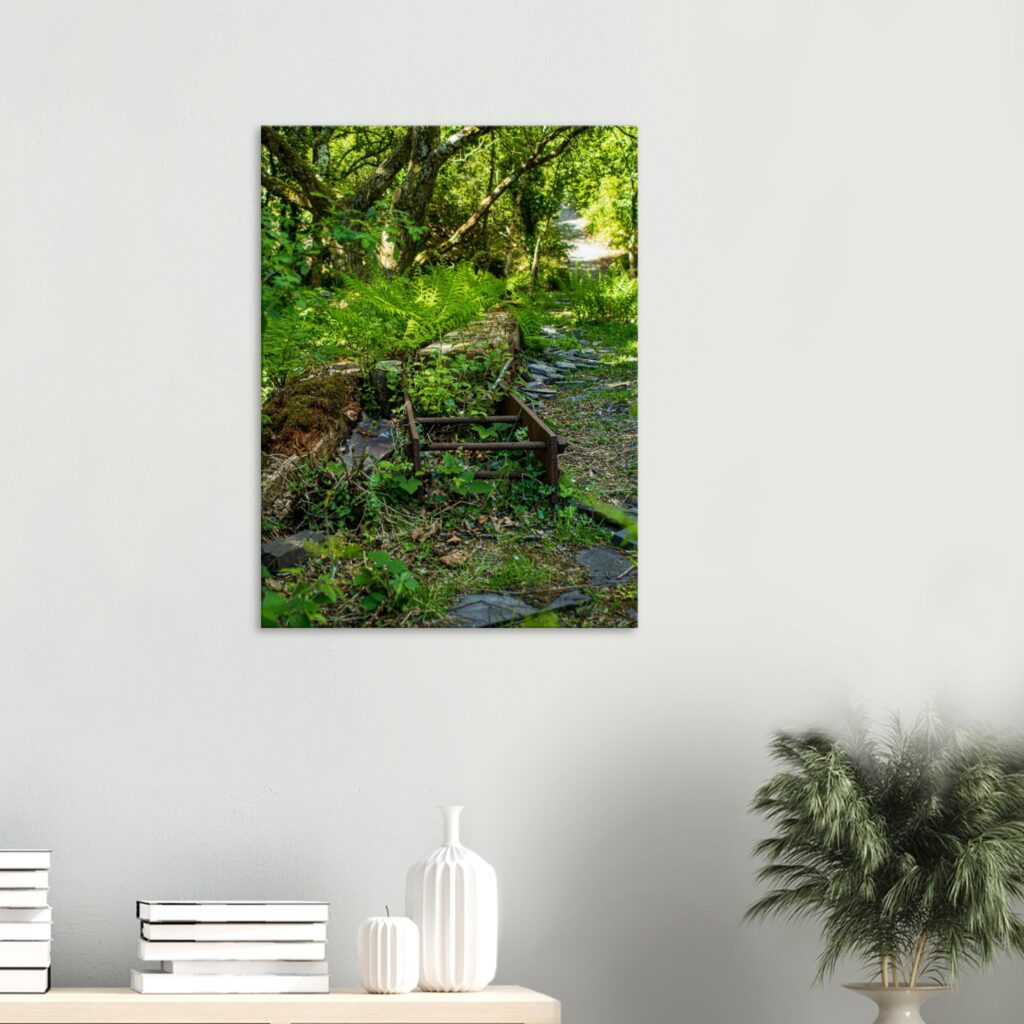 Dorothea Quarry Industrial Ruins Canvas Print