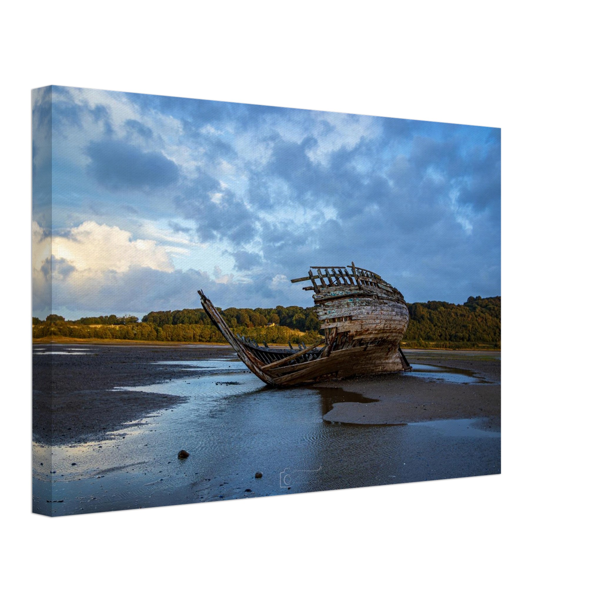 Jaws of the Manx Rose