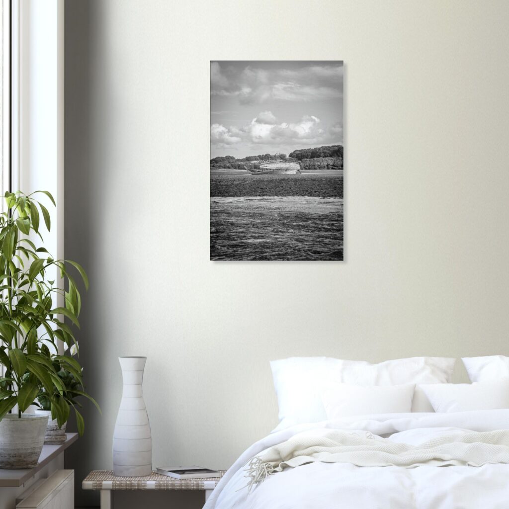 Manx Rose Wreckage Lazing On Embankment