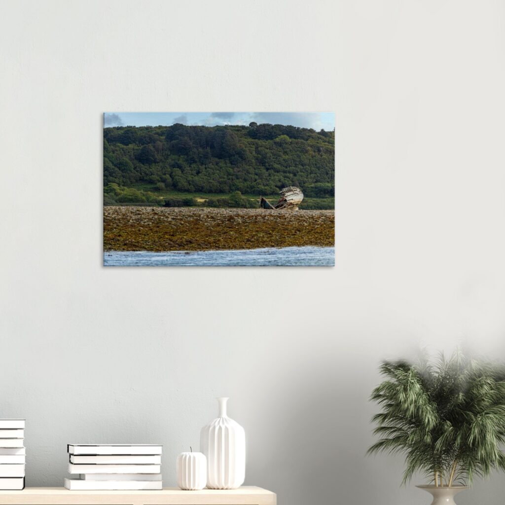 Manx Rose It's Been A Long Day