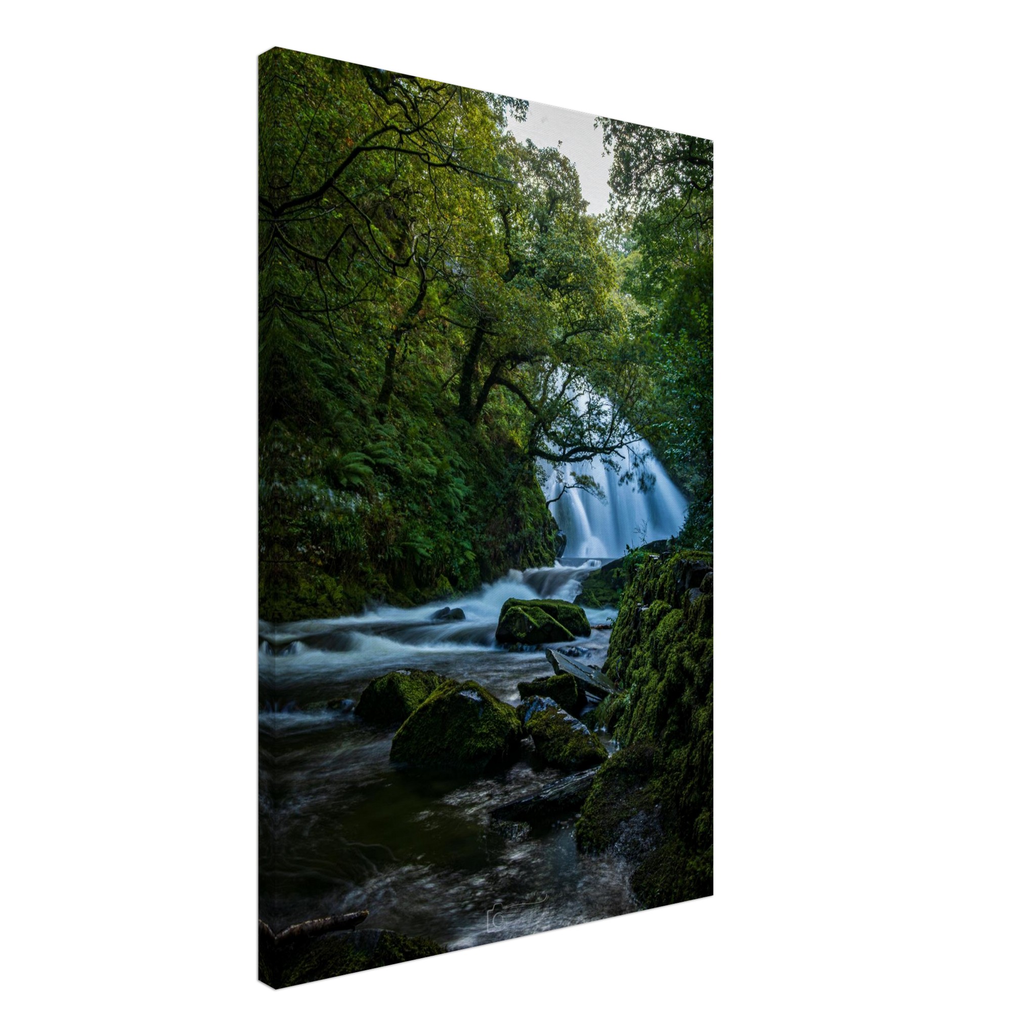 Curtain of Flowing Water at Ceunant Mawr