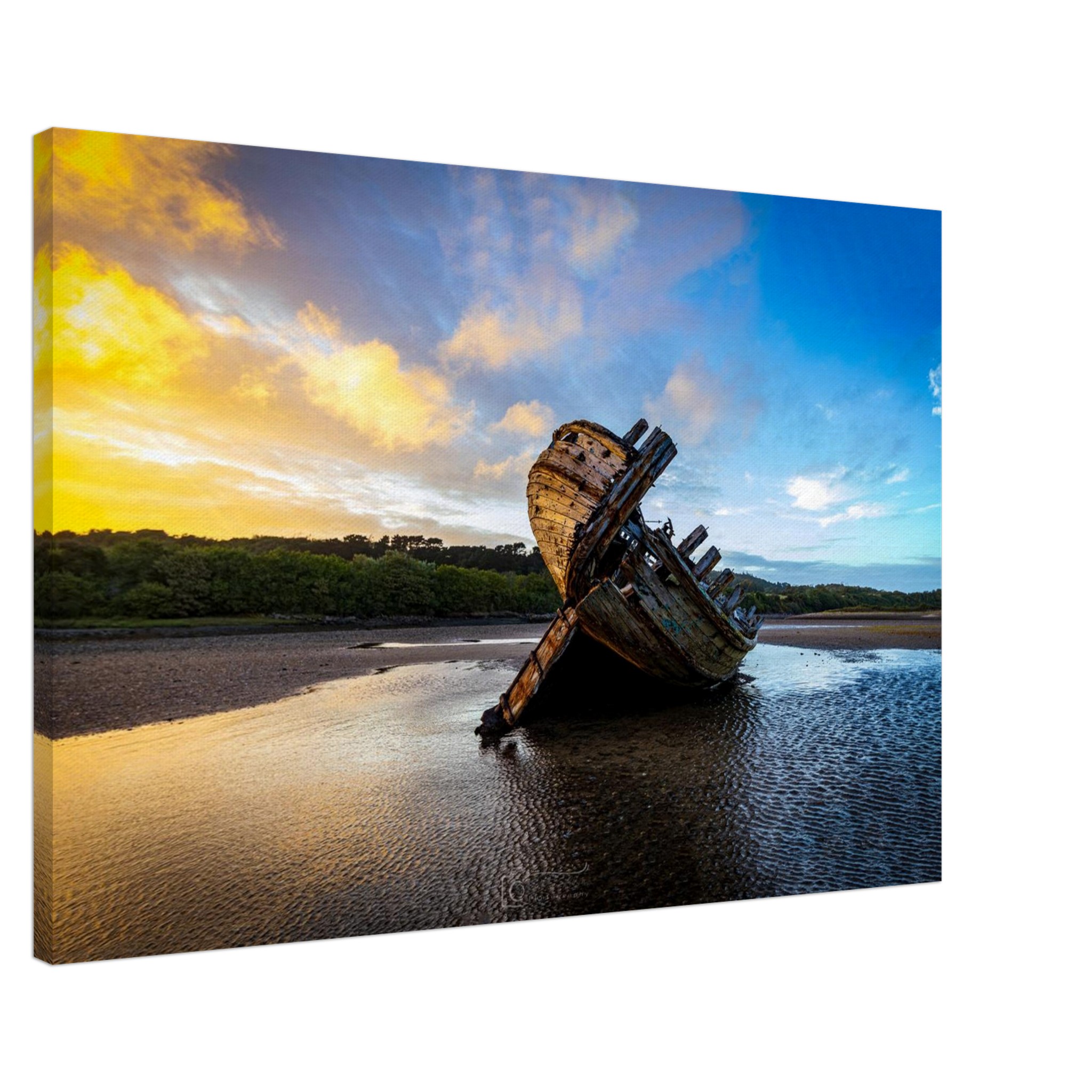 Golden Glory of the Manx Rose Sunset