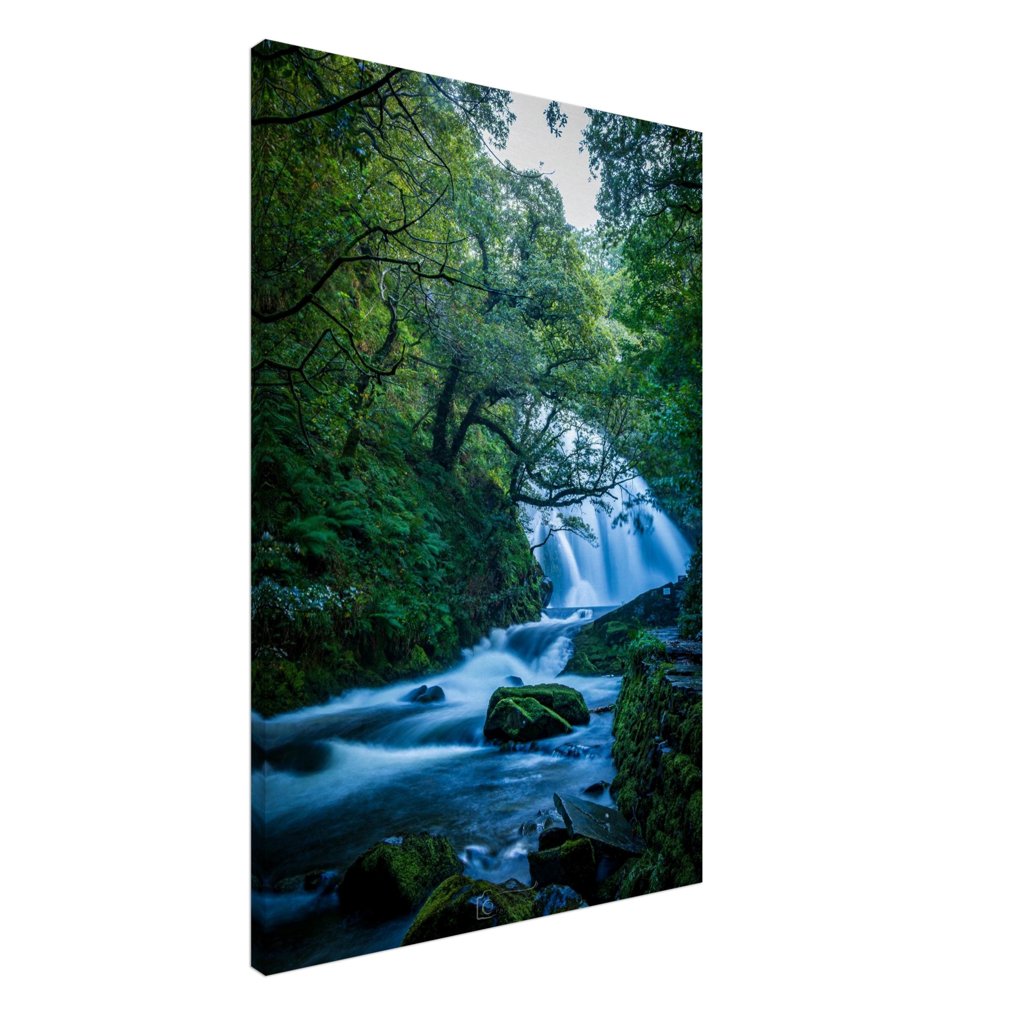 Autumnal Rapids of Ceunant Mawr Large Waterfall