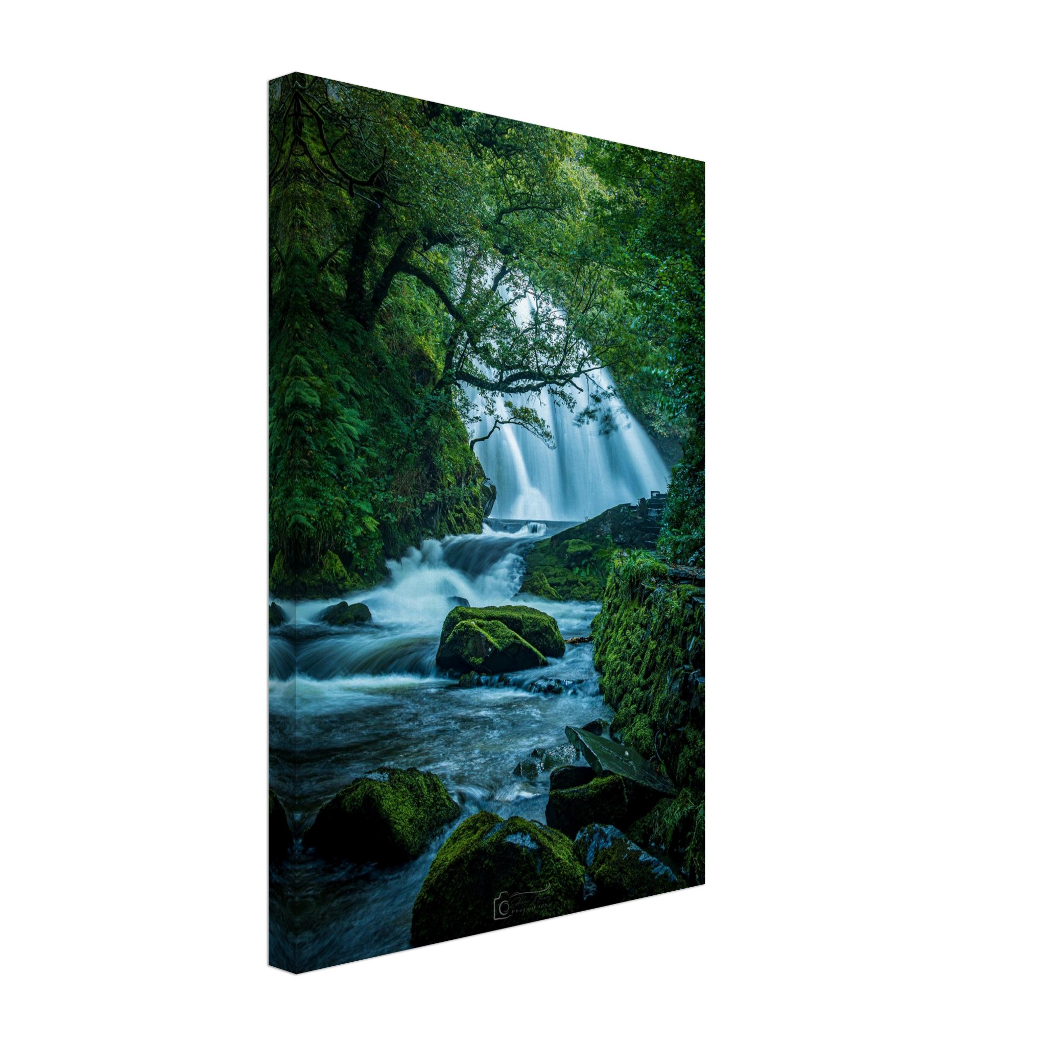 Rainforest Waterfall of Ceunant Mawr