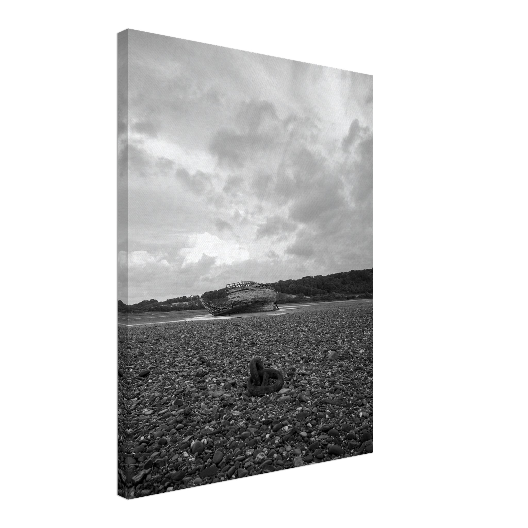 Manx Rose Breaking Free