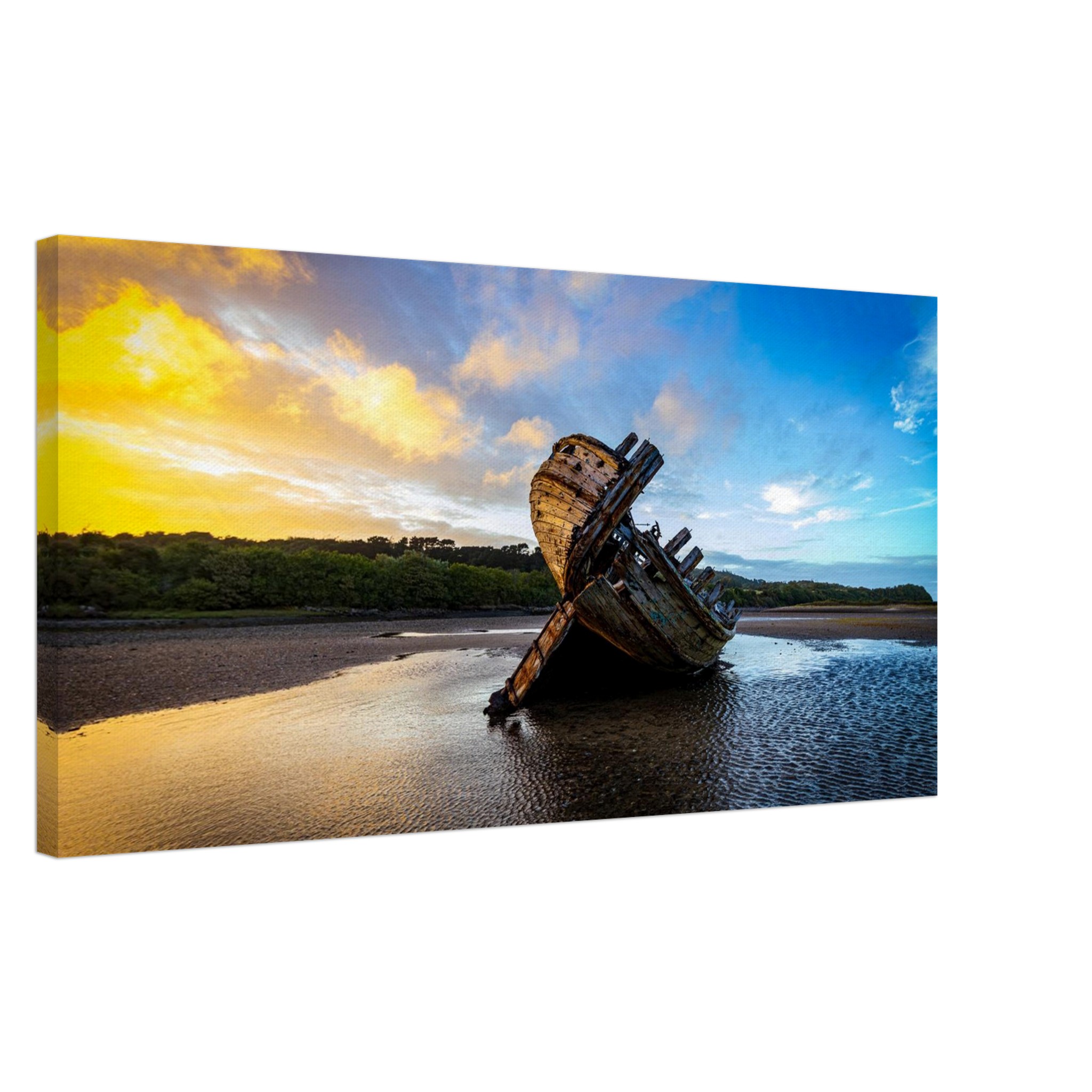 Golden Glory of the Manx Rose Sunset