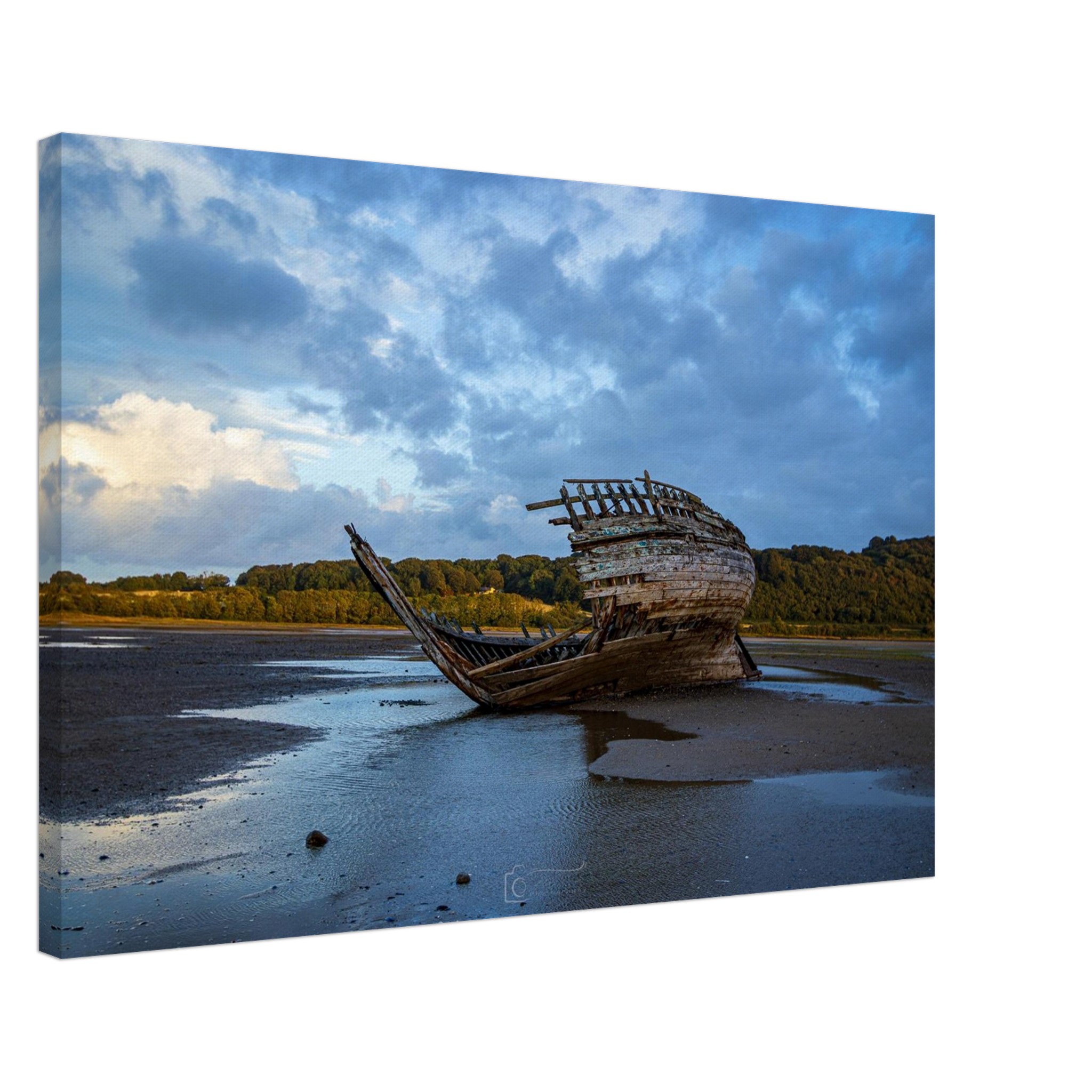 Jaws of the Manx Rose