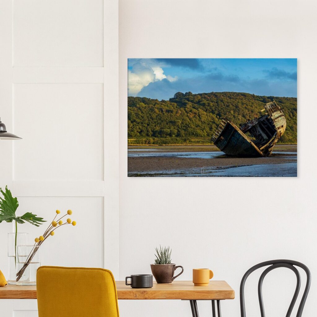 High and Dry Manx Rose