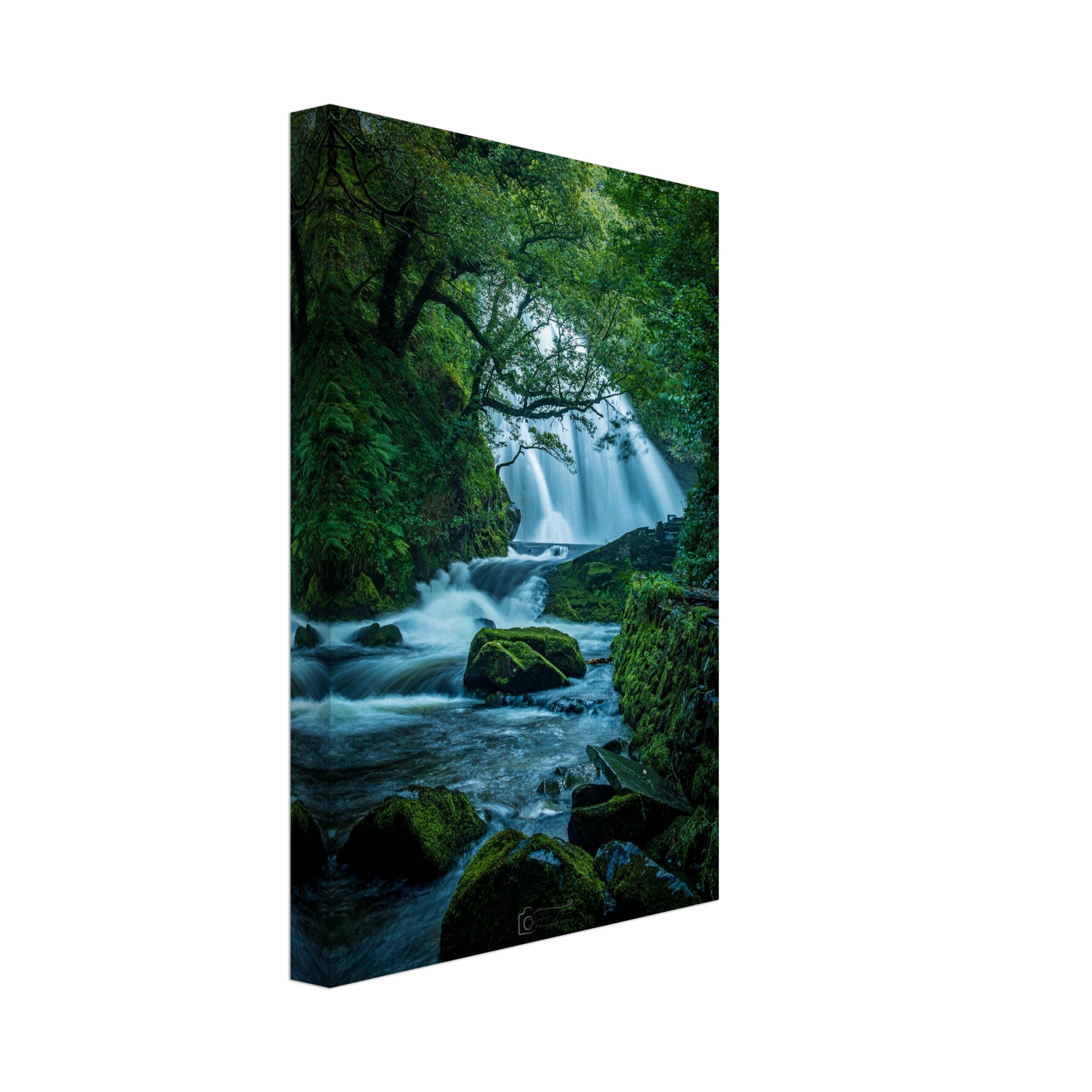 Rainforest Waterfall of Ceunant Mawr