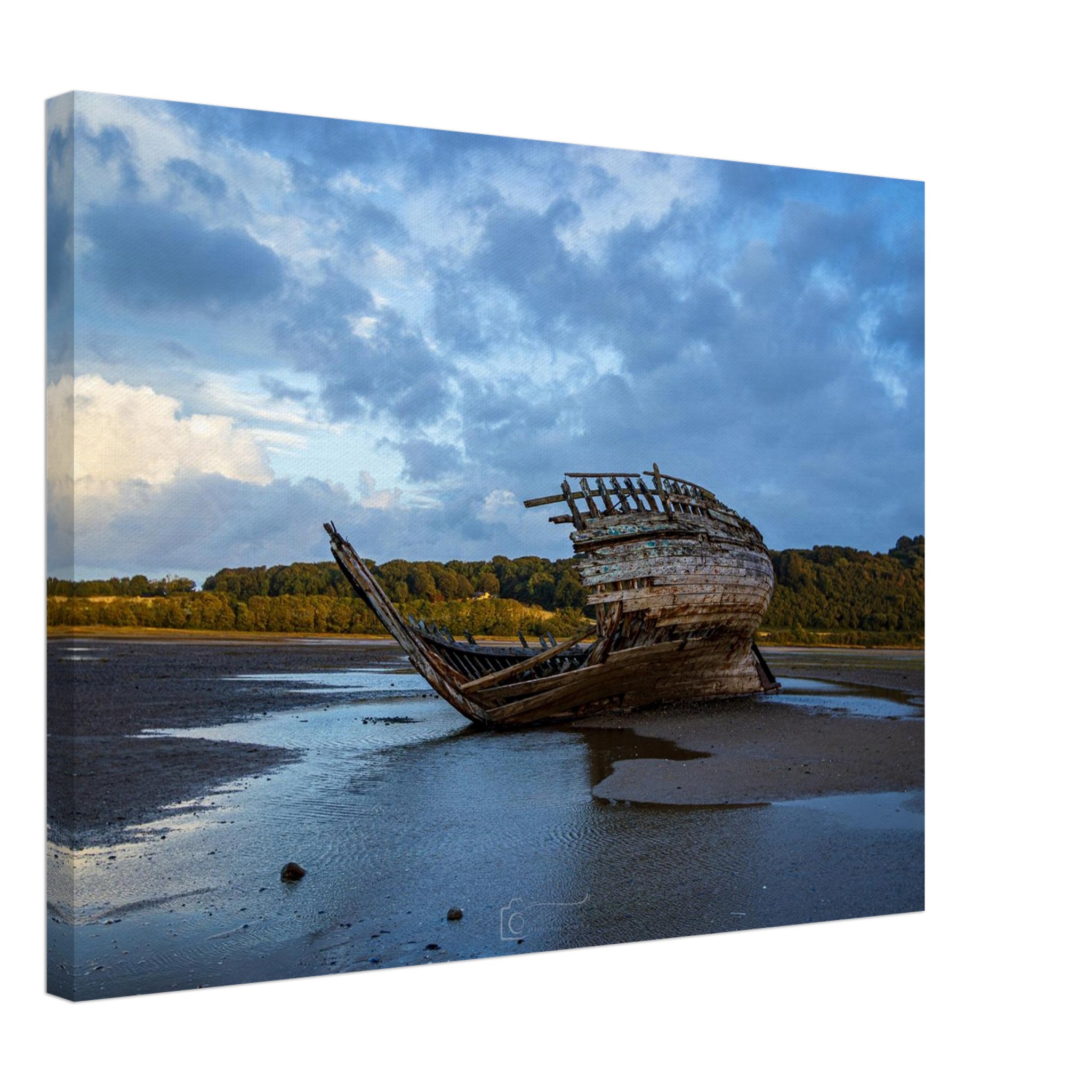 Jaws of the Manx Rose