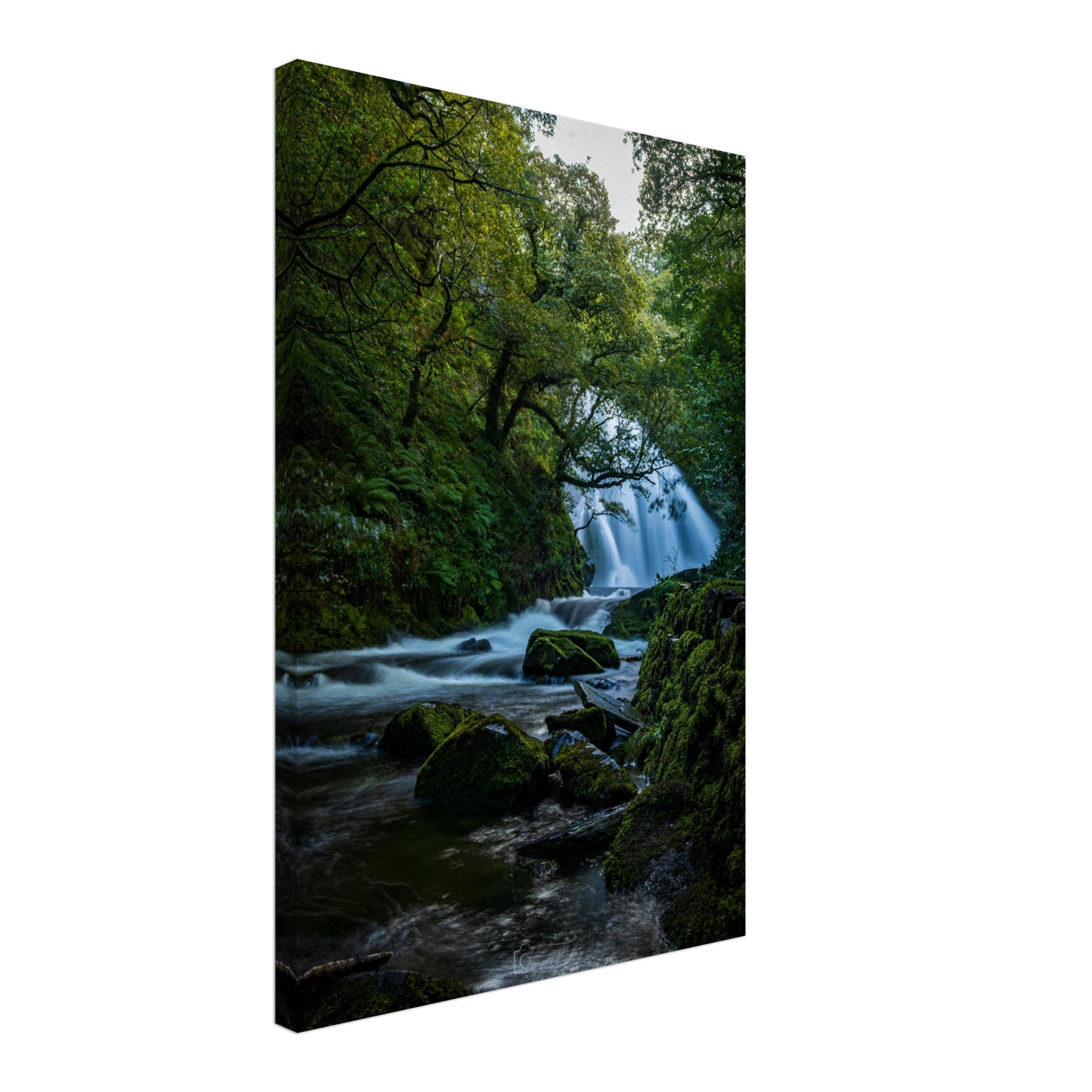 551e3aba-3b23-49ca-b5a8-fc74c2ee9982