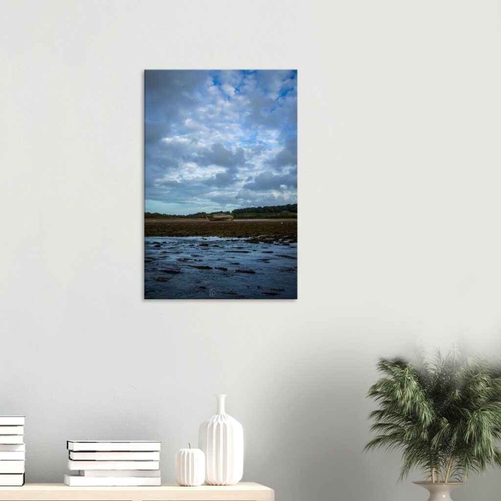 Incoming Tide of the Manx Rose