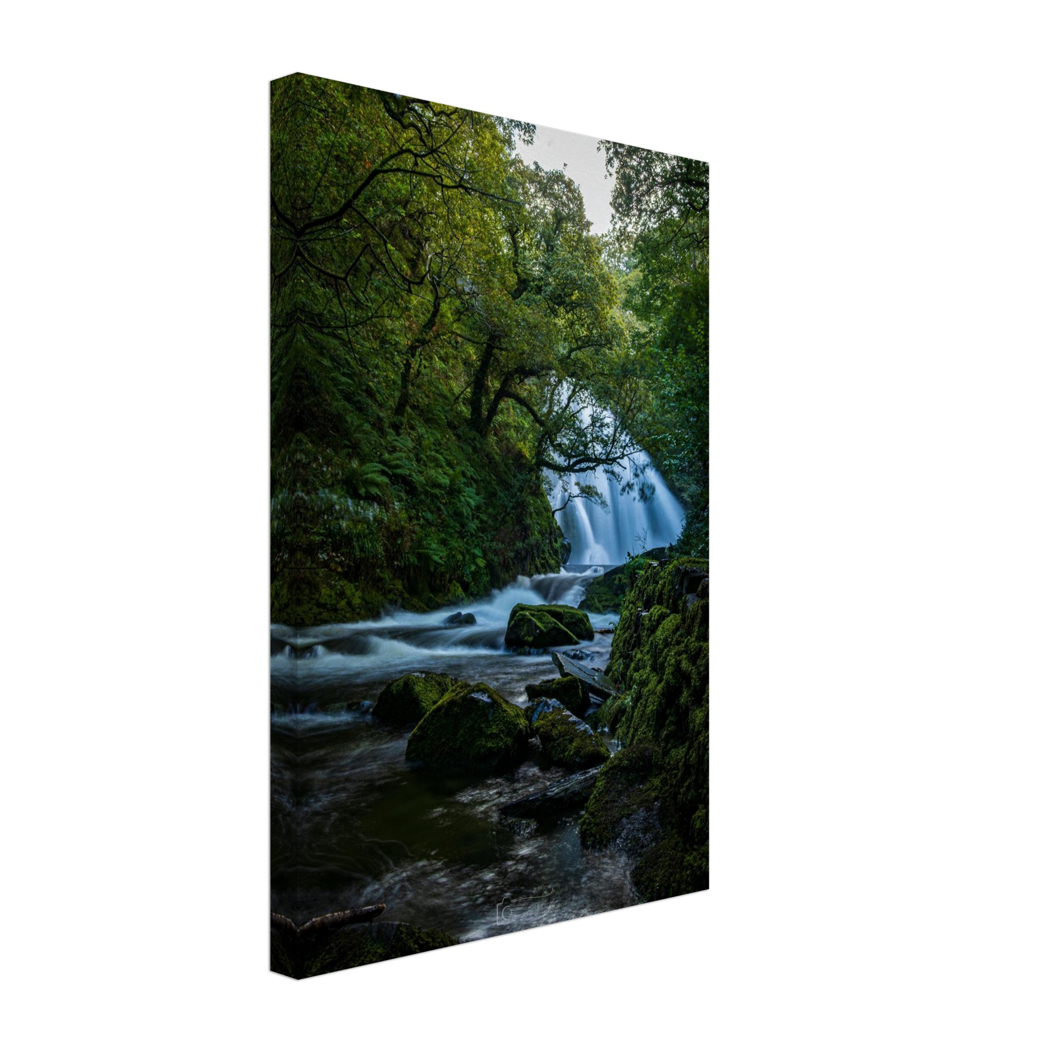 Curtain of Flowing Water at Ceunant Mawr