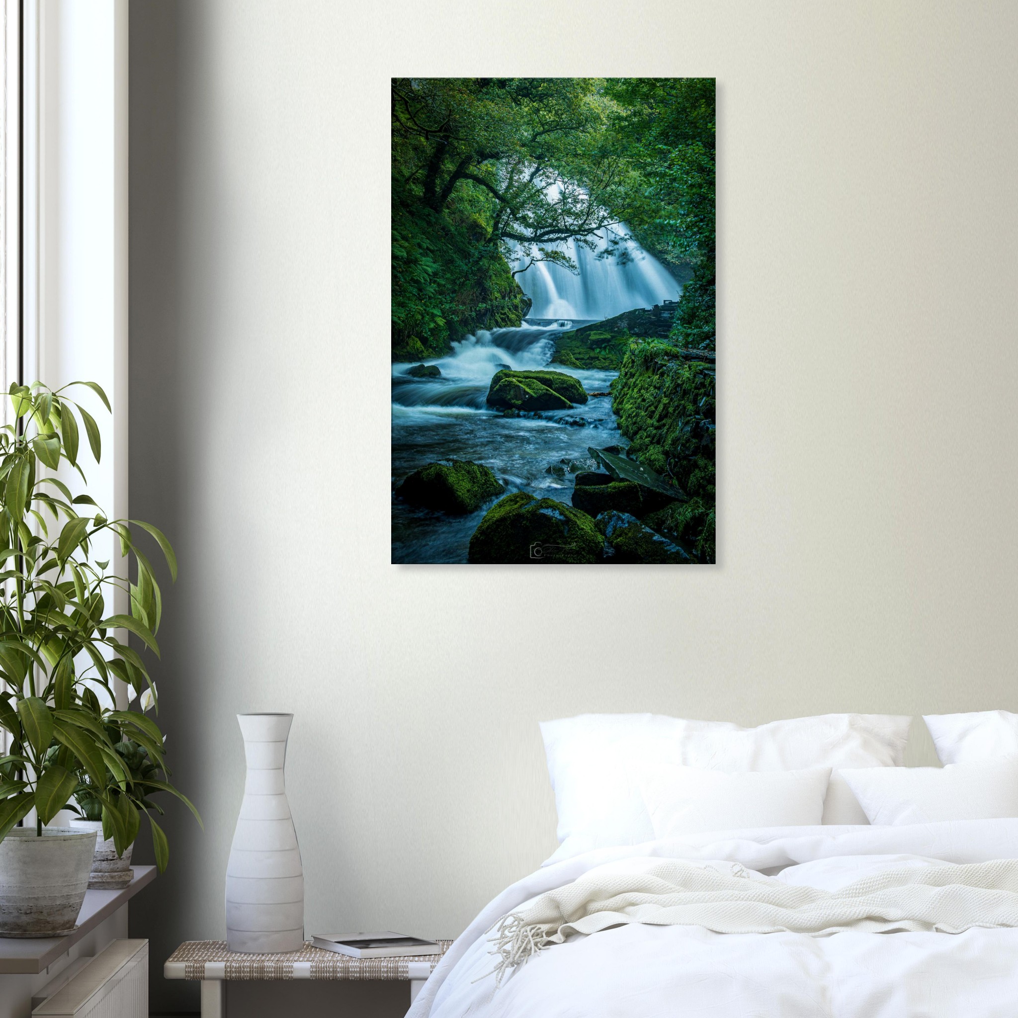 Rainforest Waterfall of Ceunant Mawr