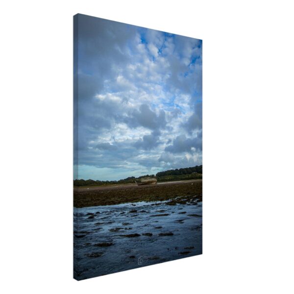 Incoming Tide of the Manx Rose