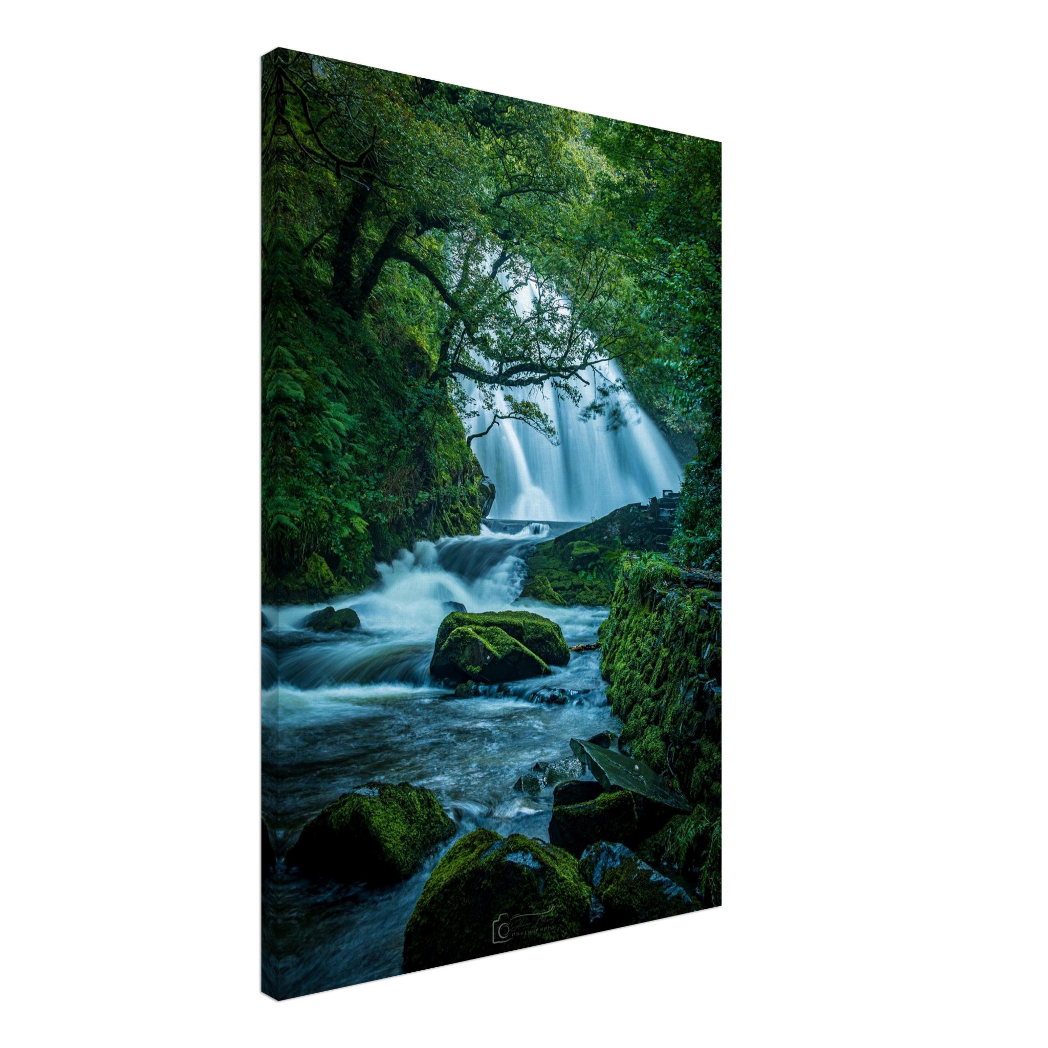 Rainforest Waterfall of Ceunant Mawr