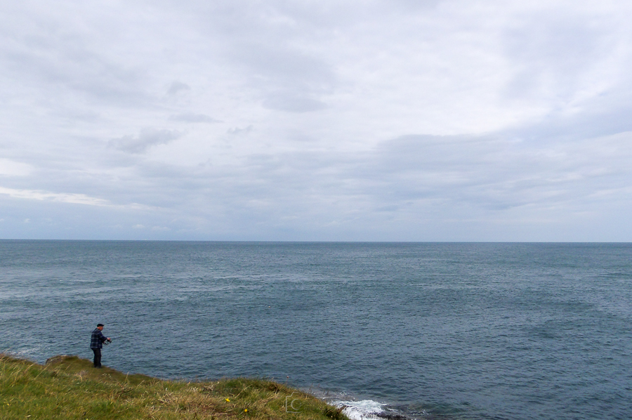 Limited Edition Lego Minifigure - "Pops"