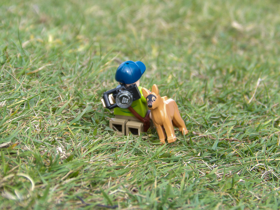 Del and Noal Trying To Be Smart