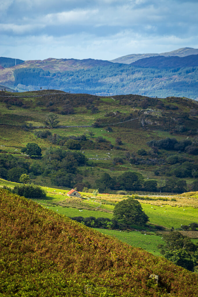 Cad West Mountain Views