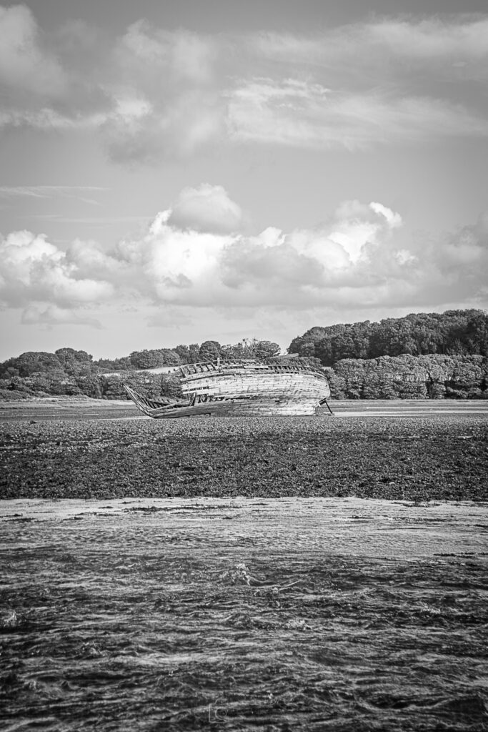 Manx Rose It's Been A Long Day