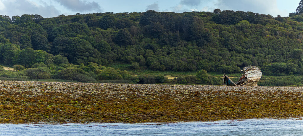 Manx Rose It's Been A Long Day