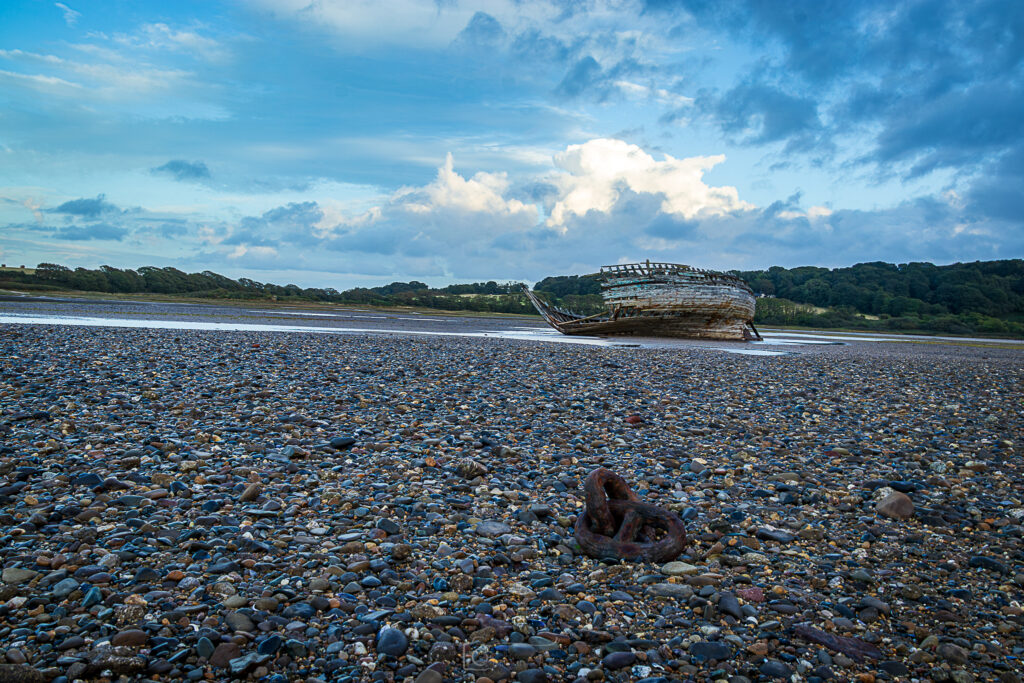 Manx Rose Broken Free