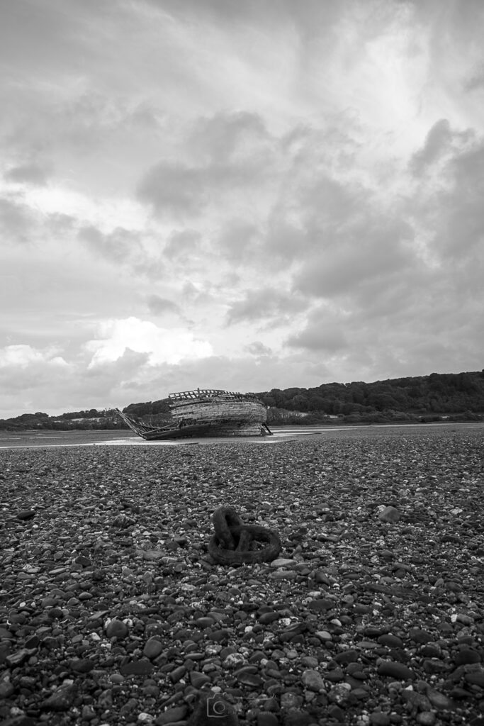 Unchained Melodies Of Manx Rose Canvas Wall Art Print