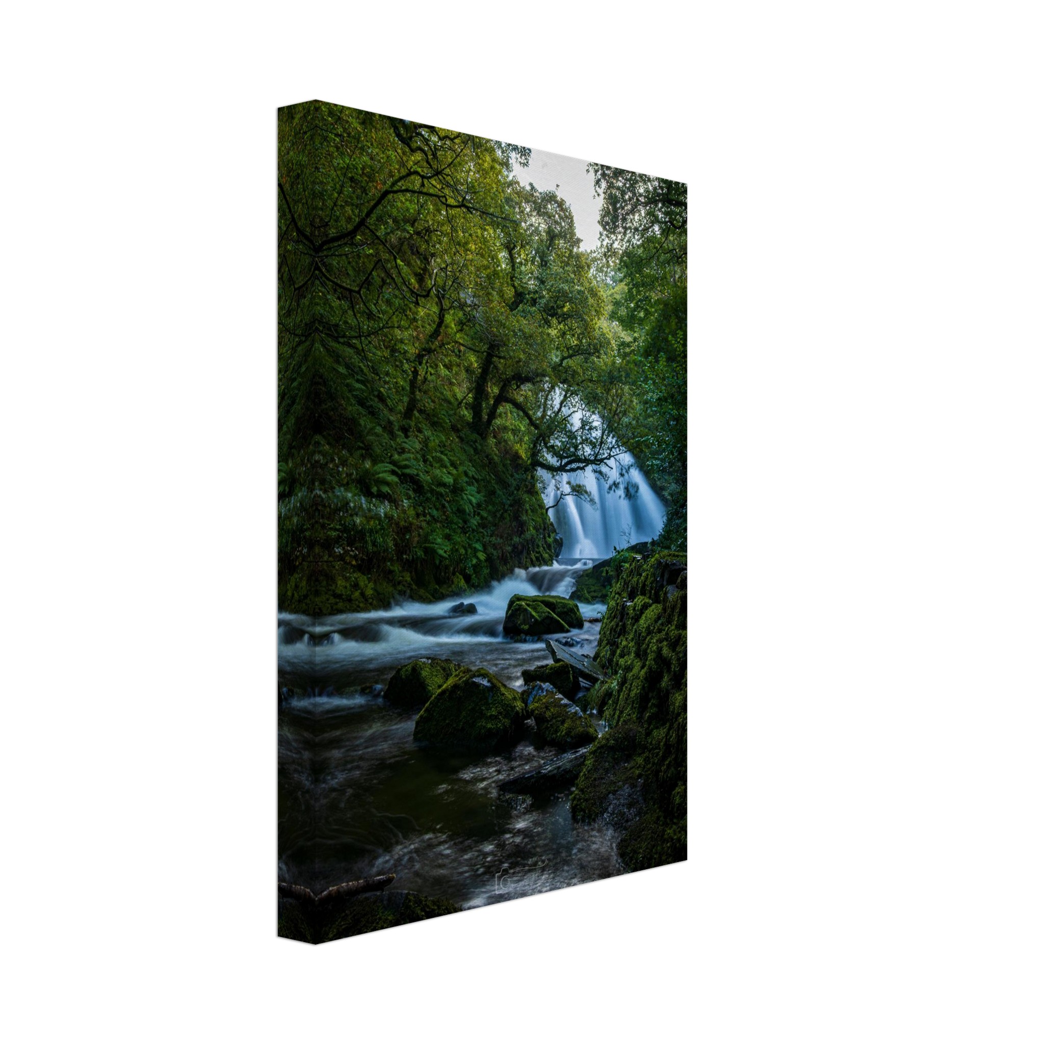 Curtain of Flowing Water at Ceunant Mawr