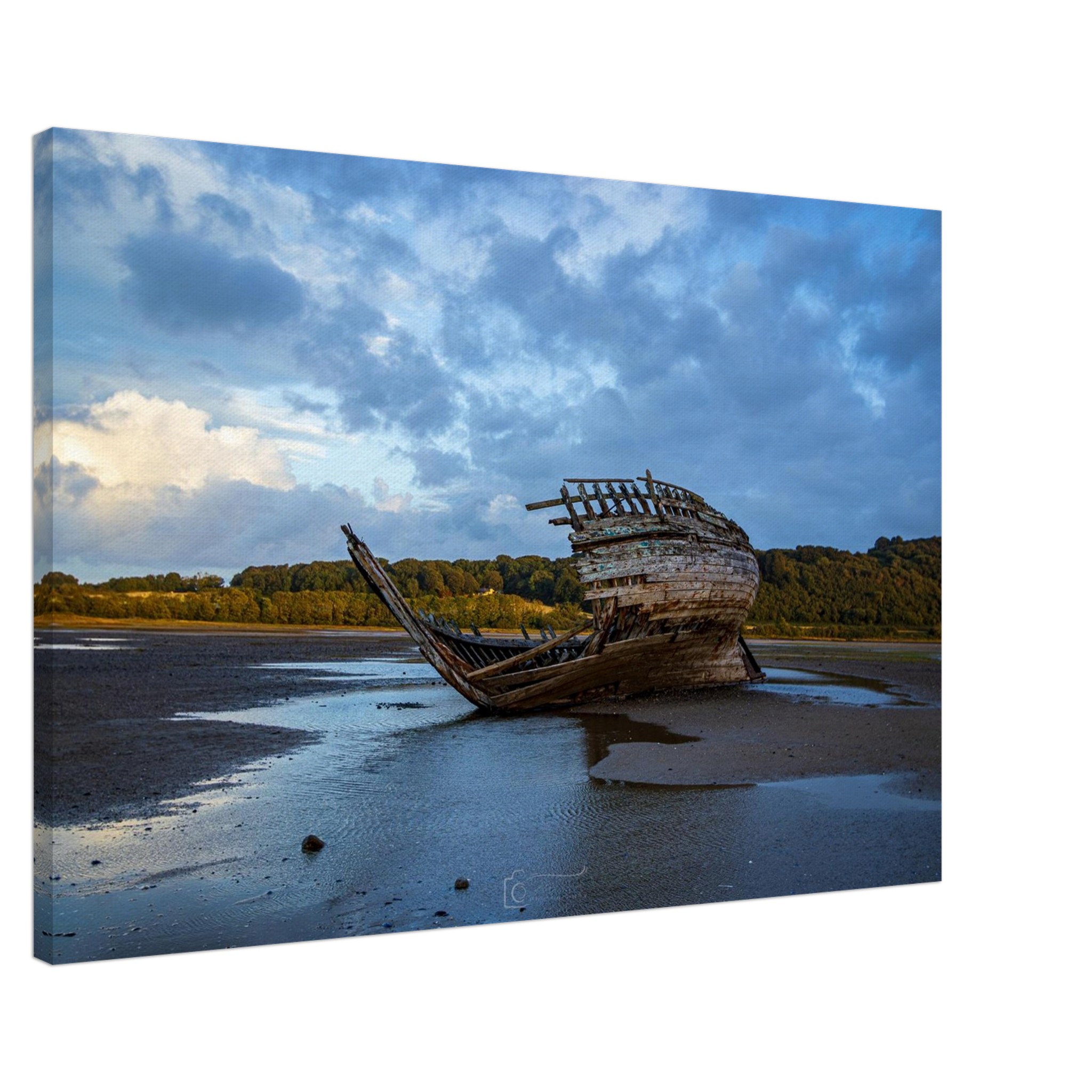 Jaws of the Manx Rose