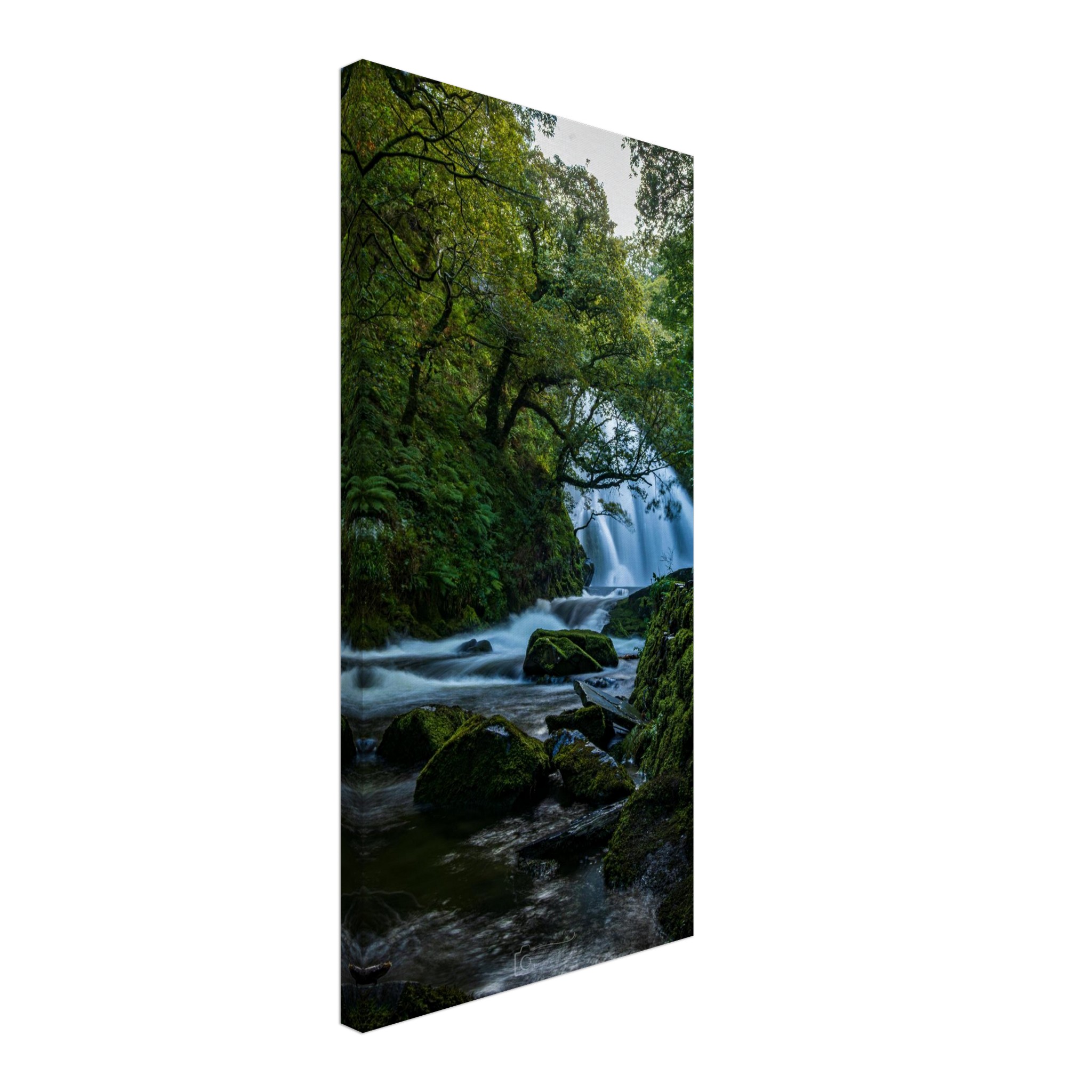 Curtain of Flowing Water at Ceunant Mawr