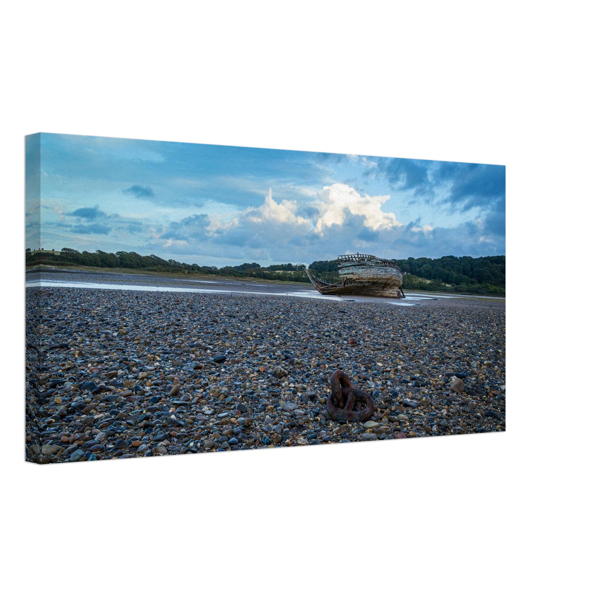 Unchained Melodies of Manx Rose