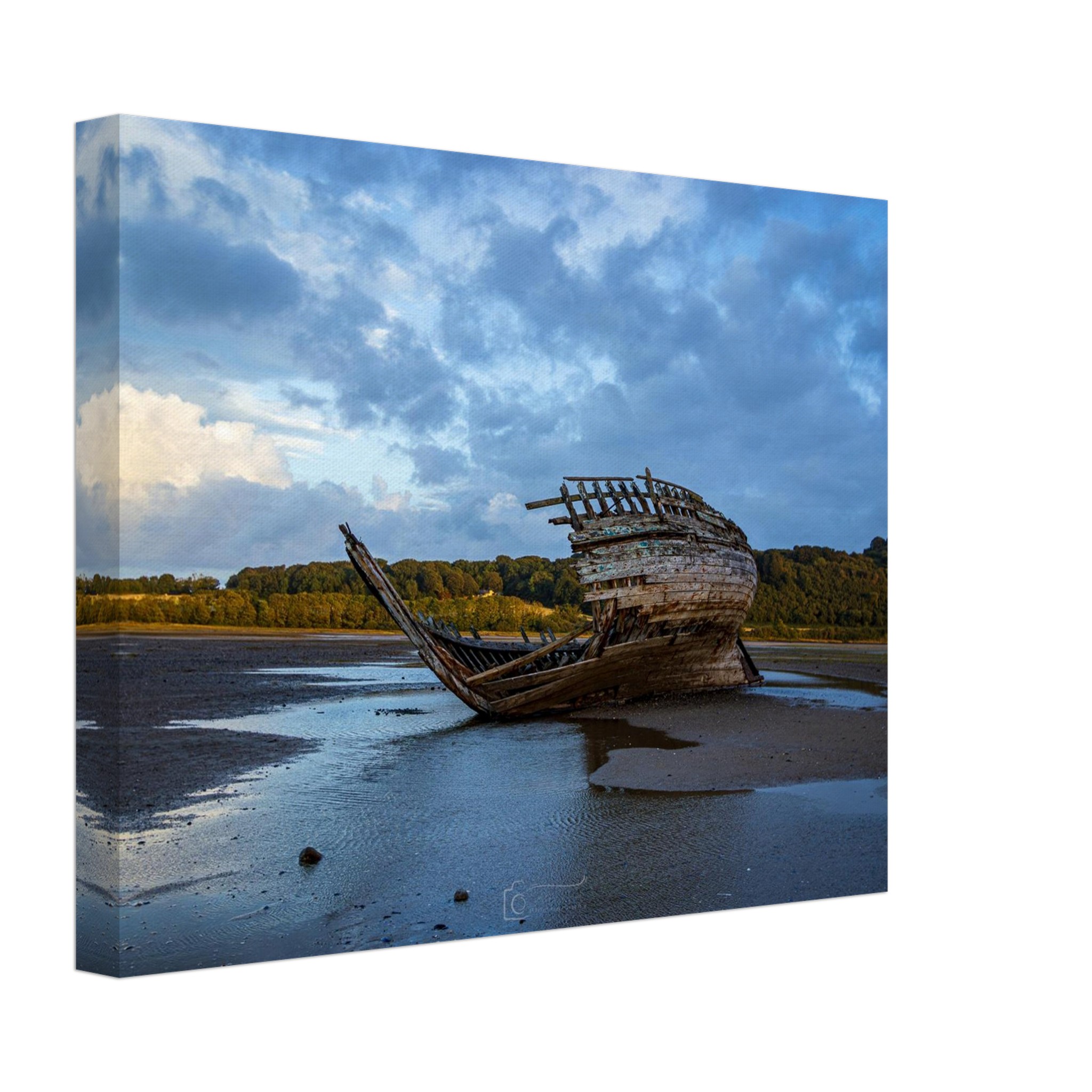 Jaws of the Manx Rose