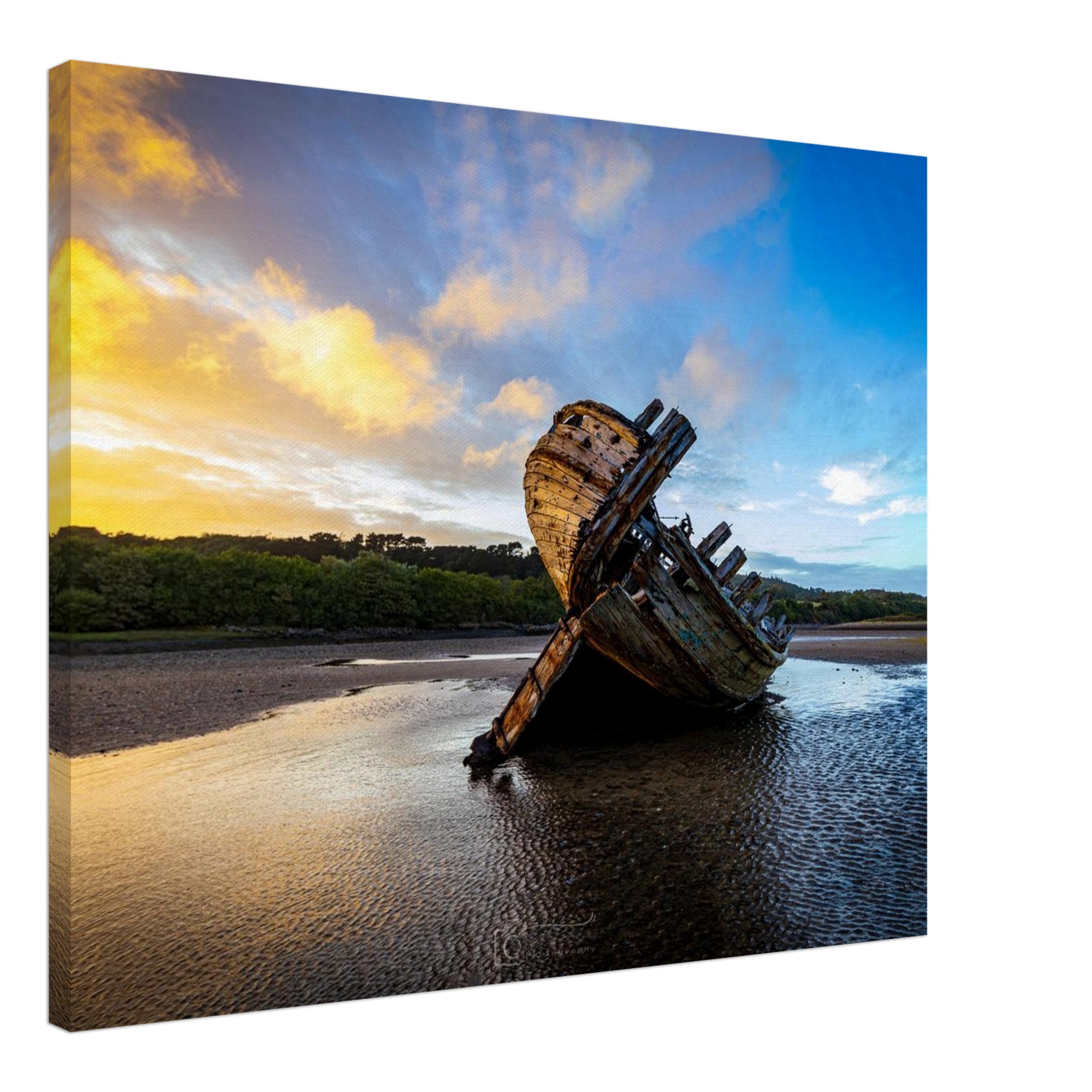 Golden Glory of the Manx Rose Sunset