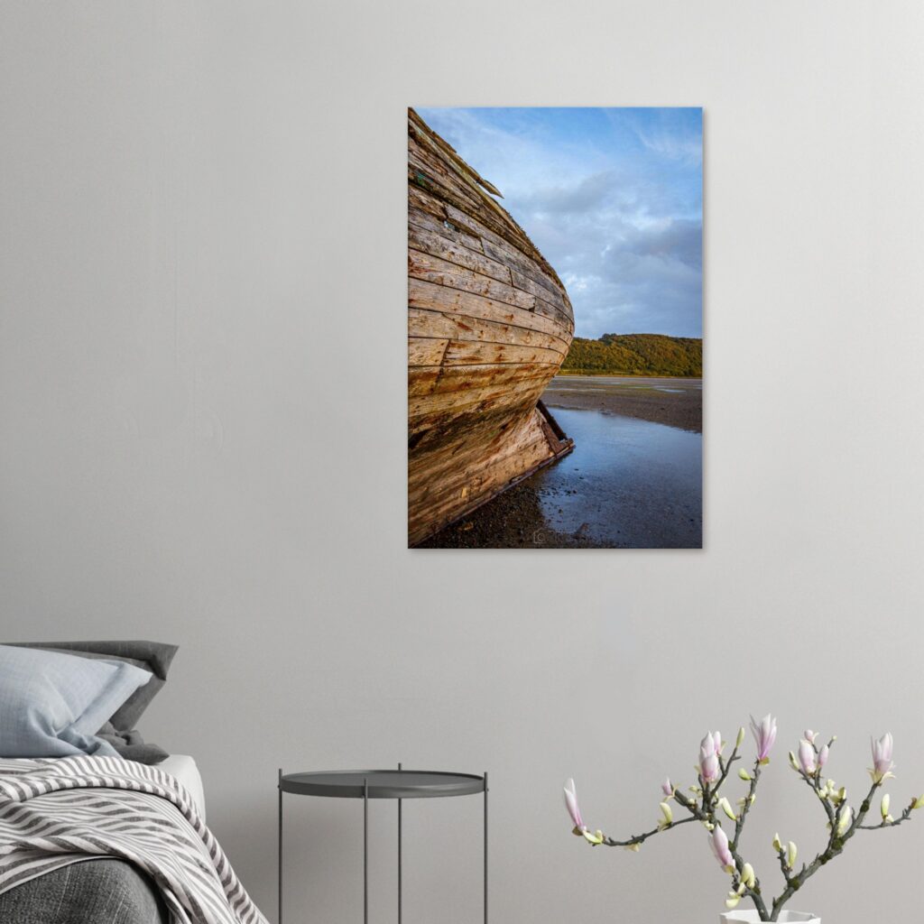 Manx Rose Screams Land Ahoy...