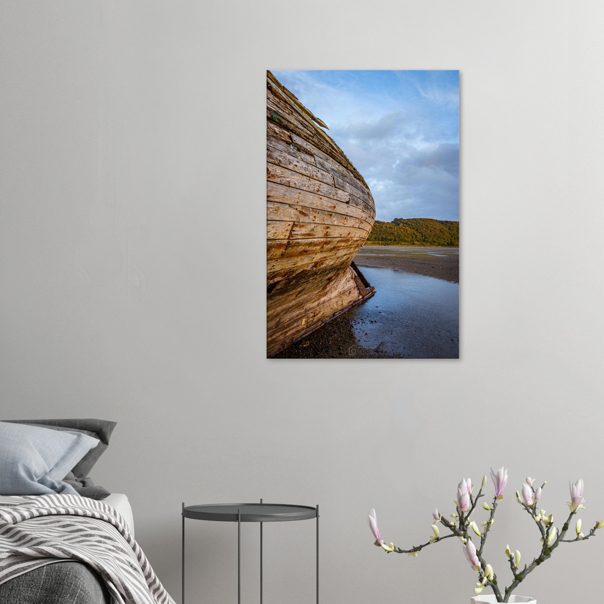 Manx Rose Screams Land Ahoy...