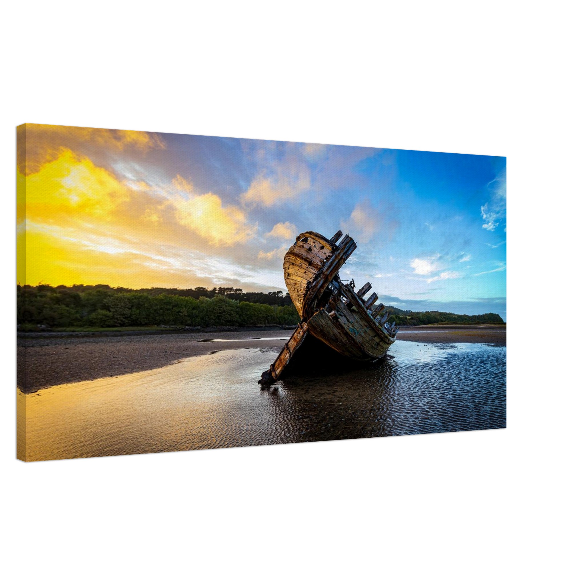 Golden Glory of the Manx Rose Sunset