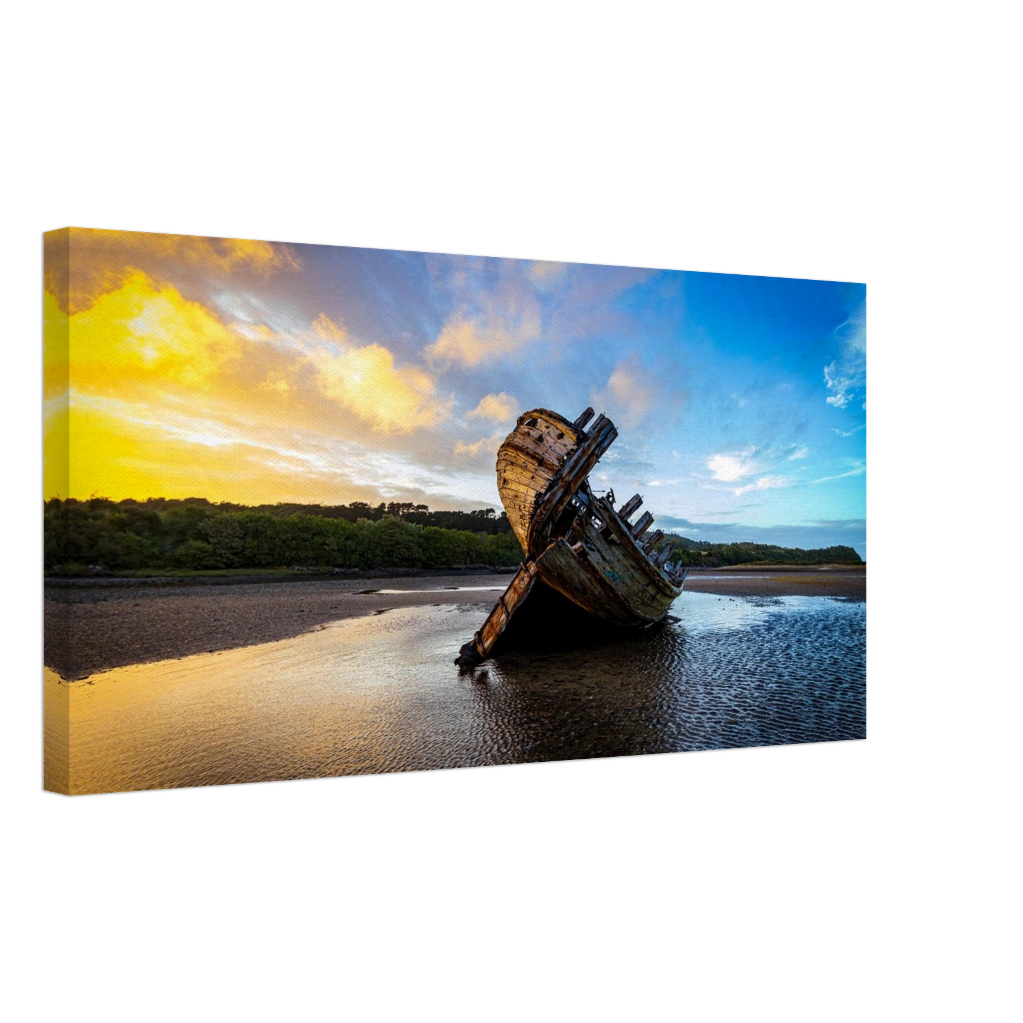 Golden Glory of the Manx Rose Sunset