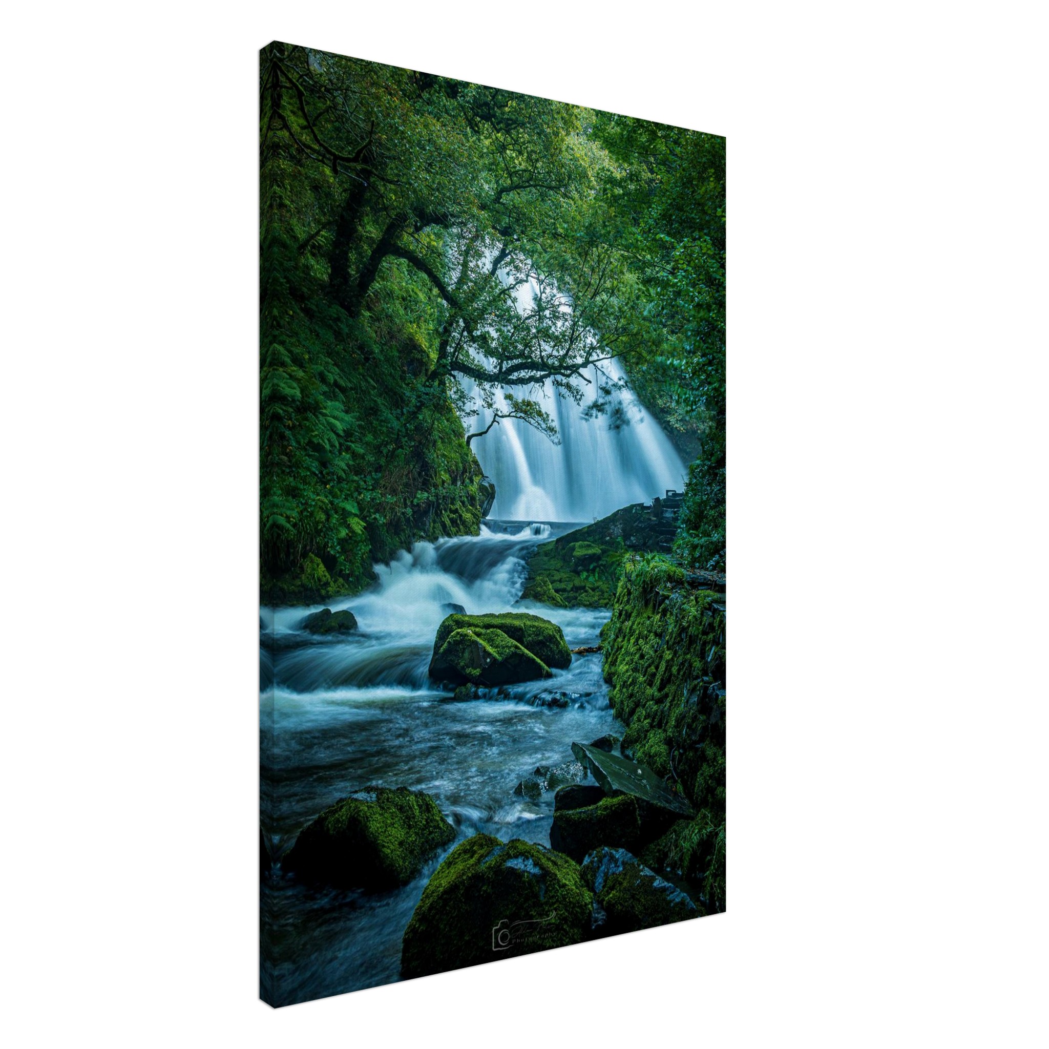 Rainforest Waterfall of Ceunant Mawr