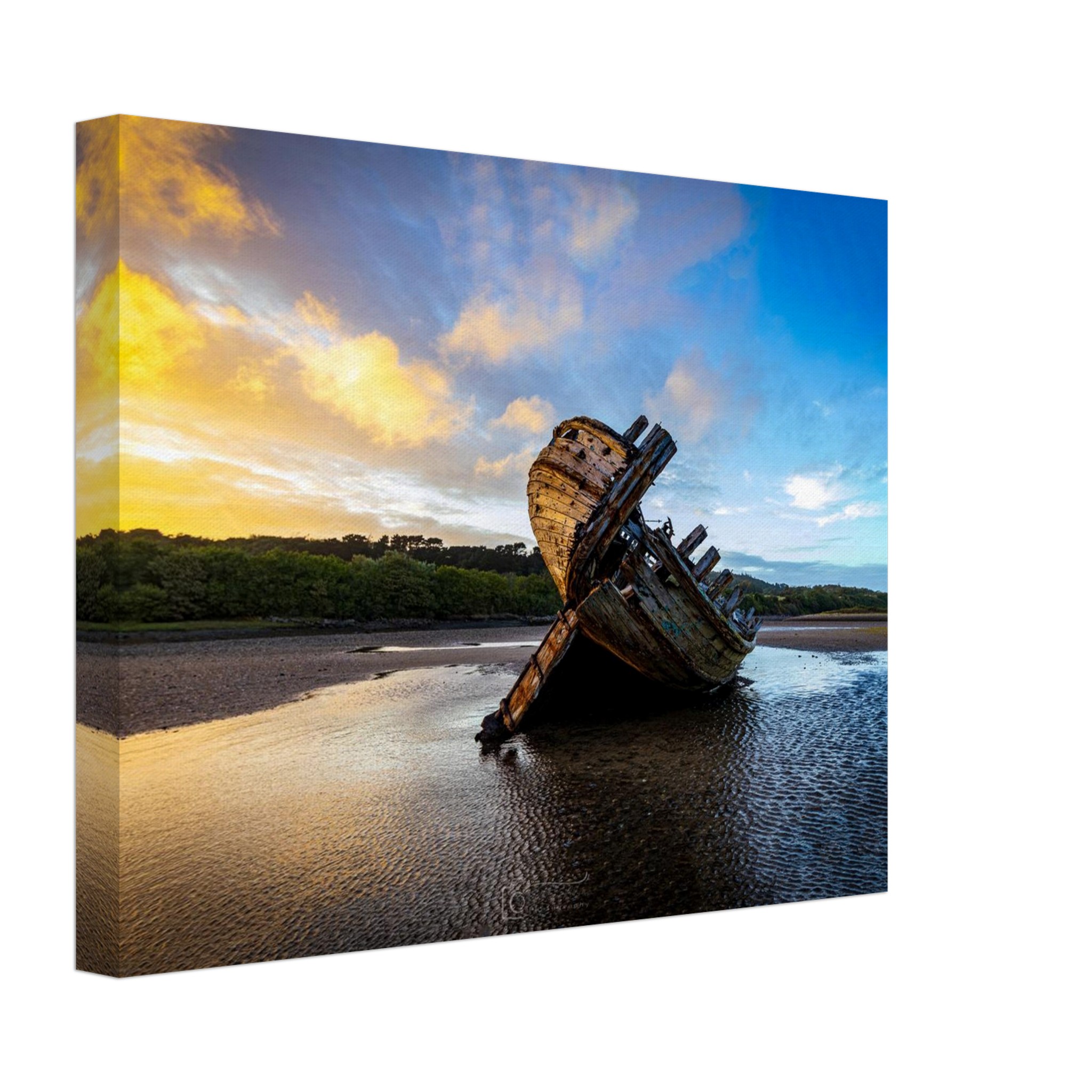 Golden Glory of the Manx Rose Sunset