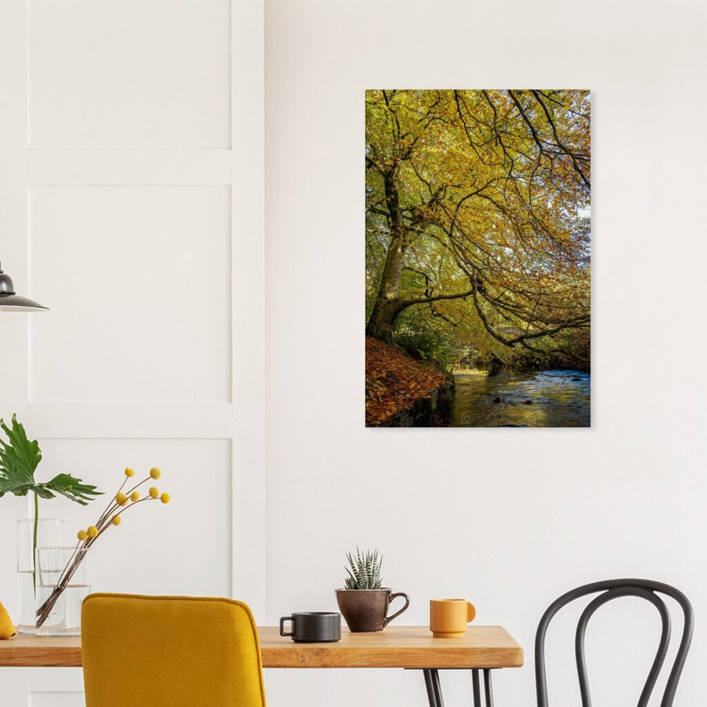 Autumnal River Irk Canvas Print