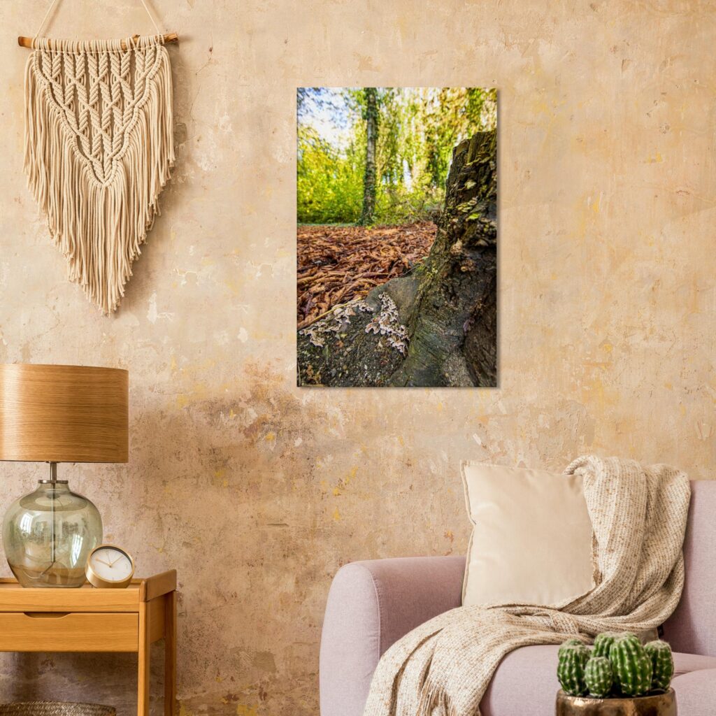 Chondrostereum Purpureum Mushroom of Alkrington Woods