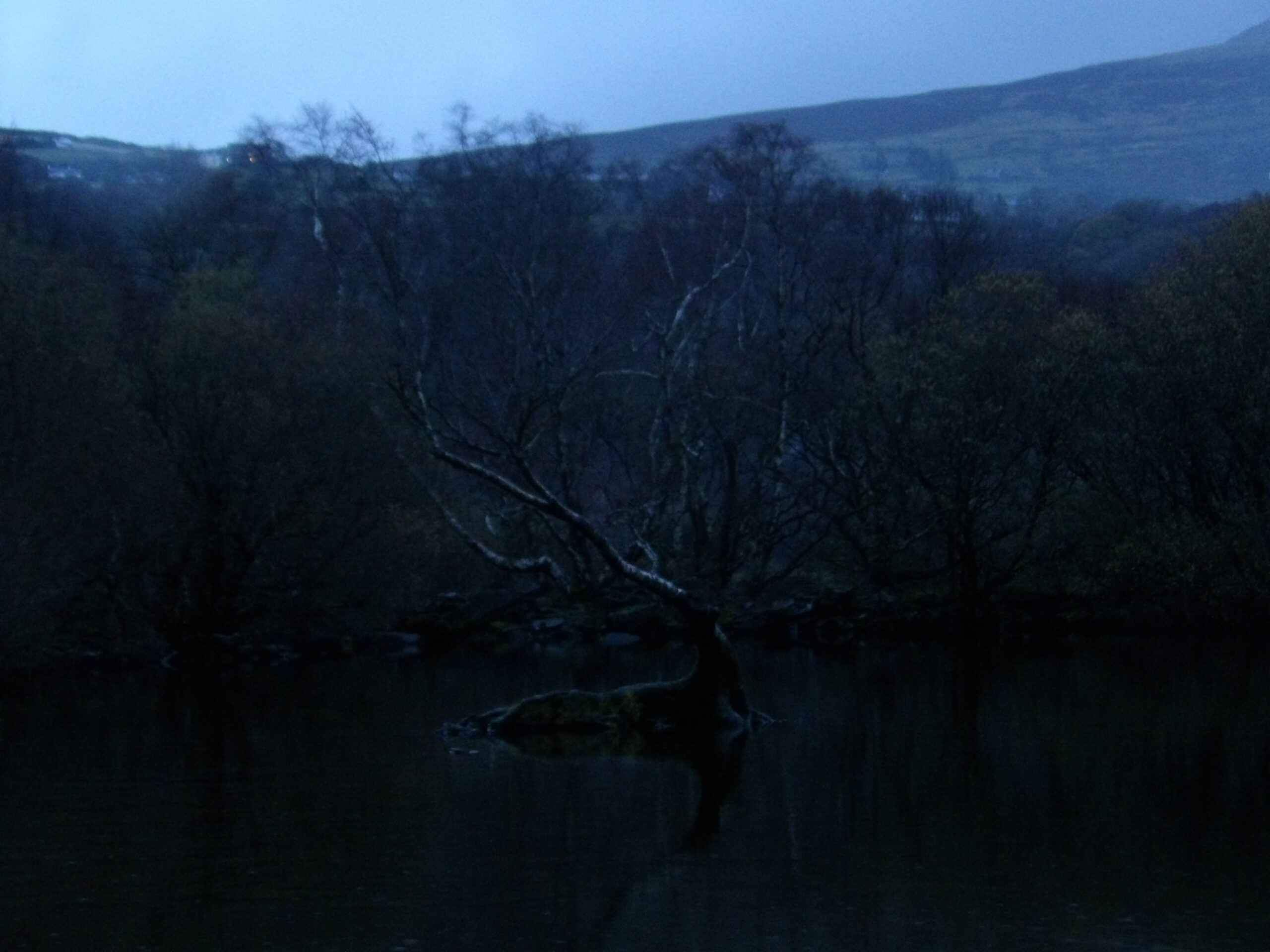 Snowdonia National Park, Lyn Padarn During Blue Hour - Raindeer