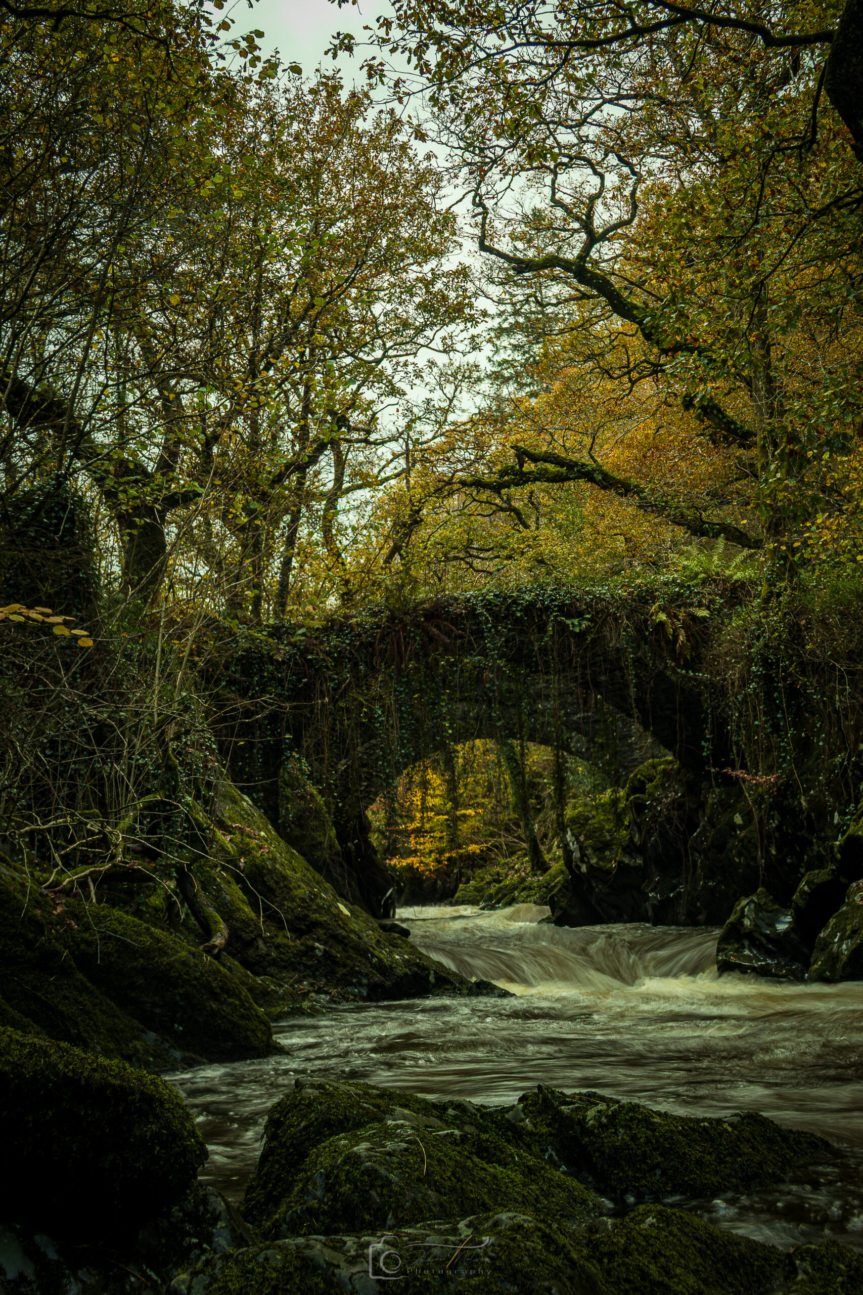Twin Penmachno Arched Stone Bridges