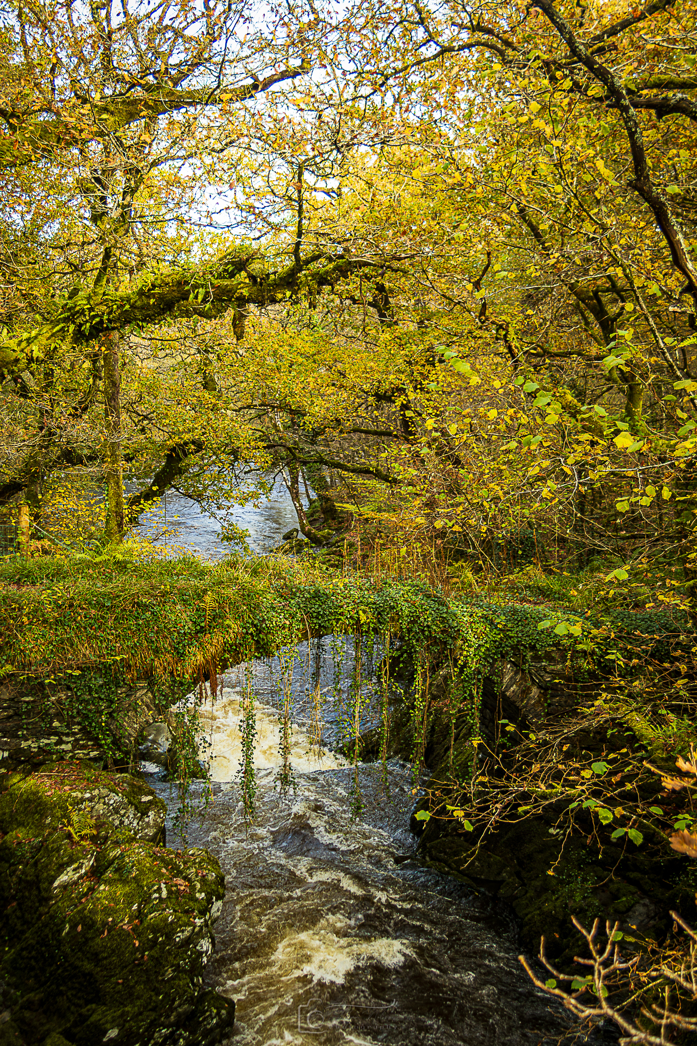 Autumnal Penmachno Roman Bridge