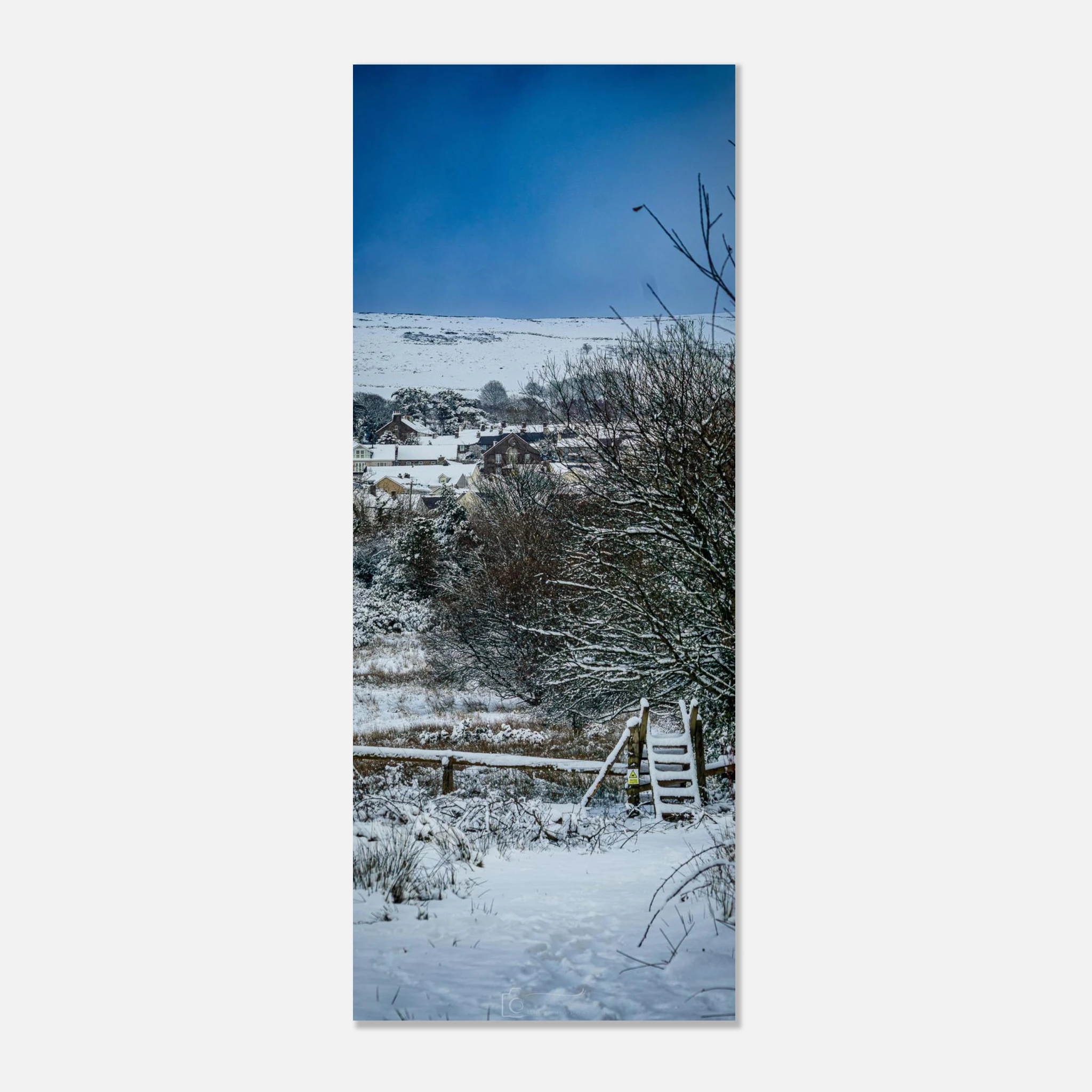 Path To Nowhere - Fine Art Poster