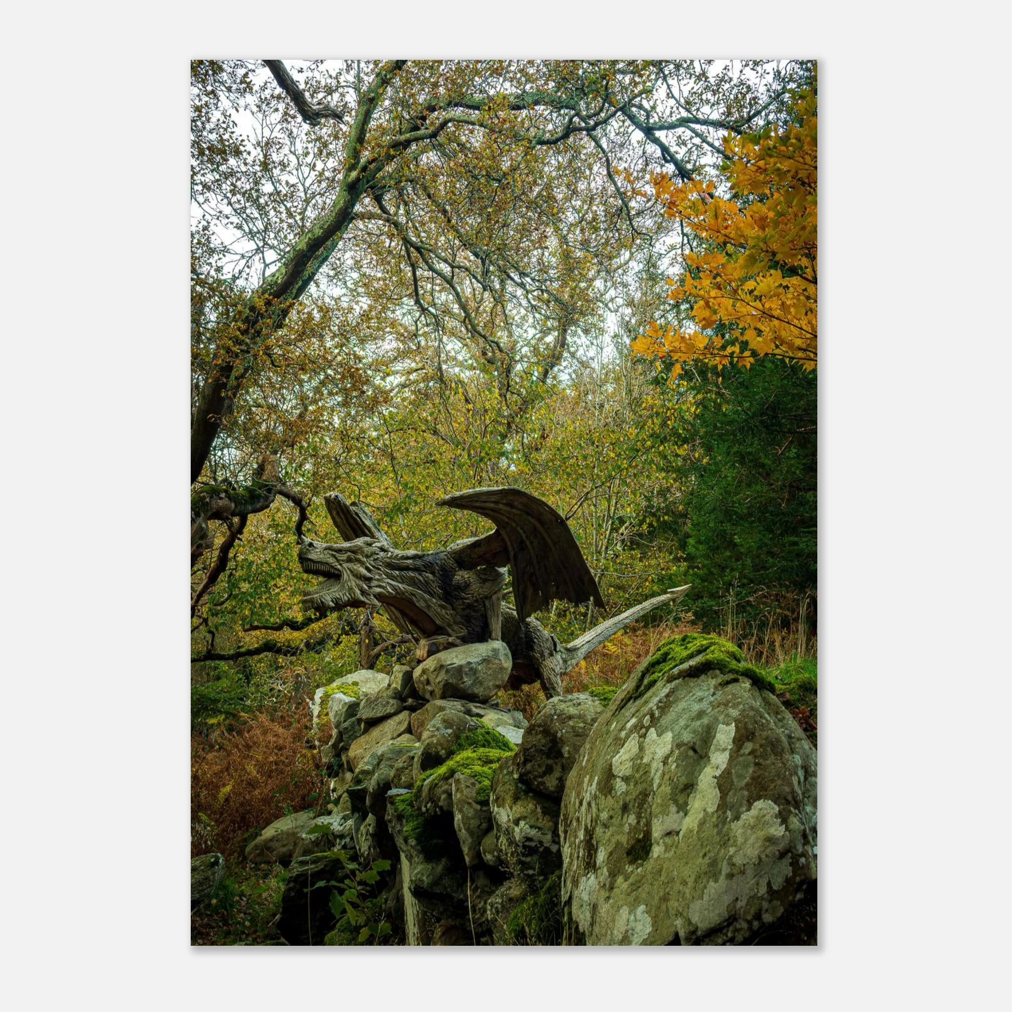 The Rise Of Dragon of Bethesda - Fine Art Poster