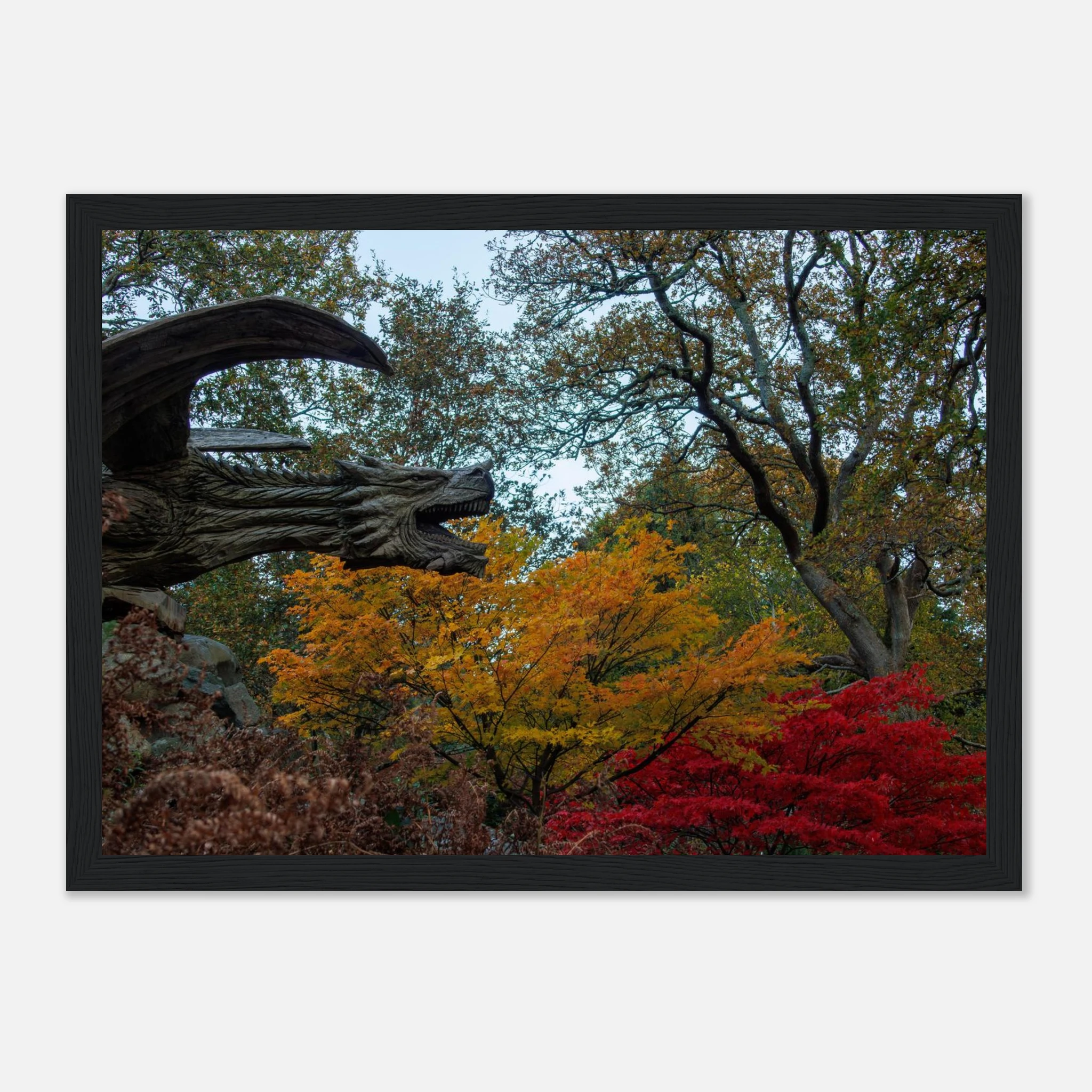 Dragon’s Breath - Black or White Framed Photograph