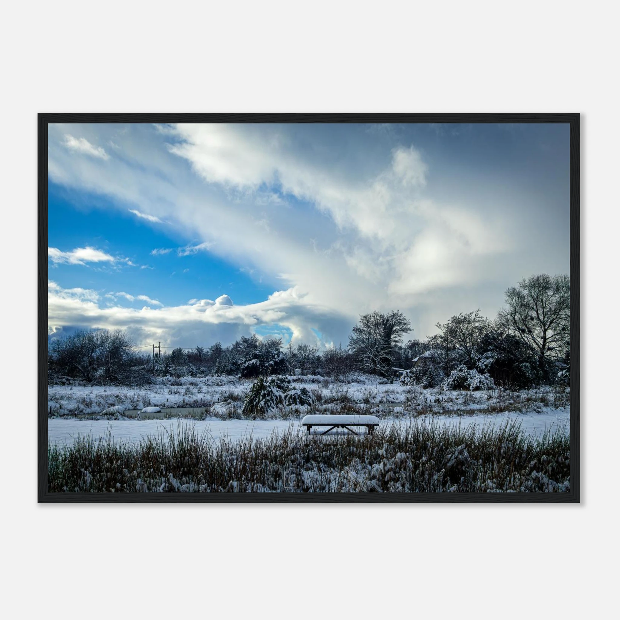 Lakeside View - Black or White Framed Photoograph